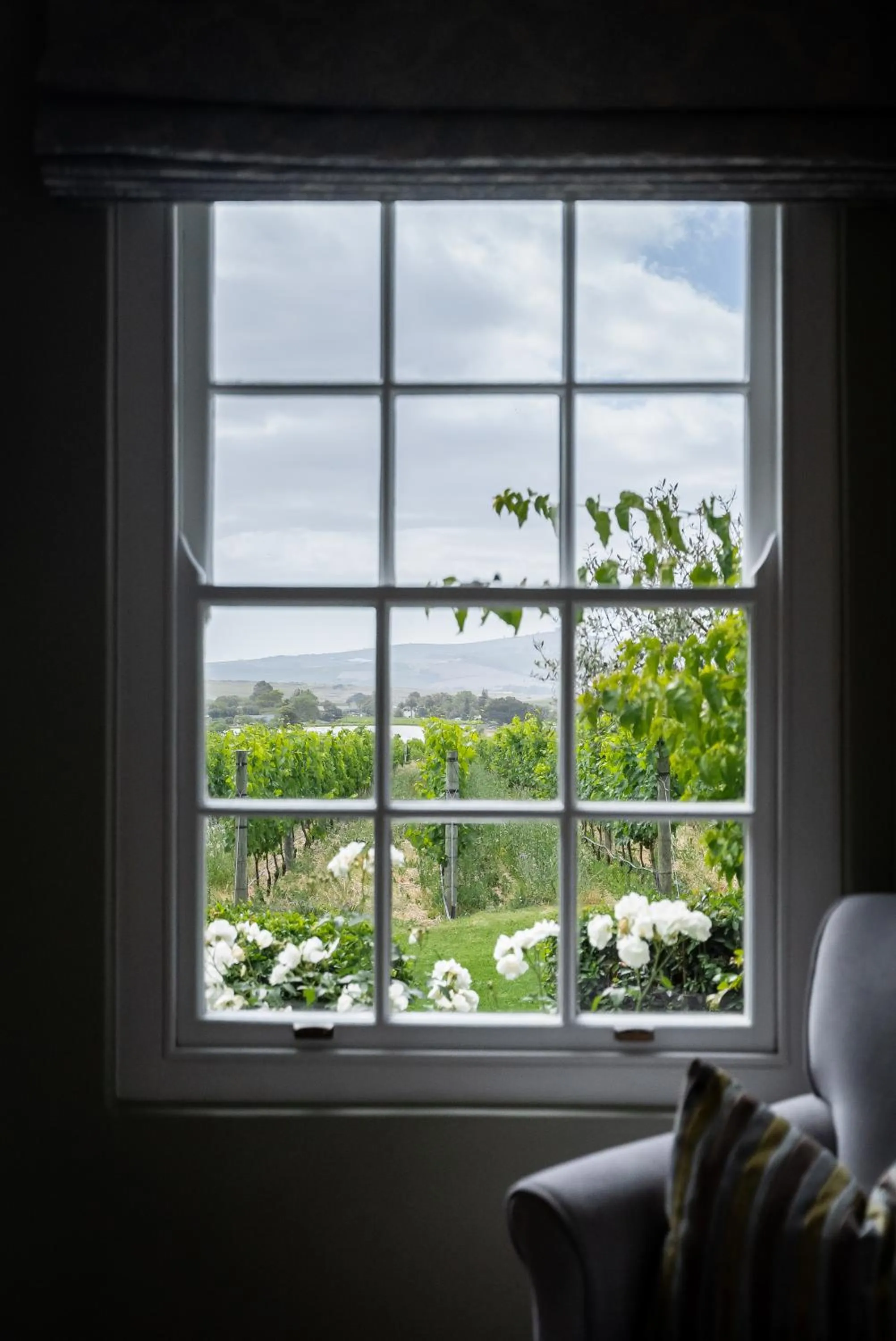 View (from property/room) in Eikendal Lodge