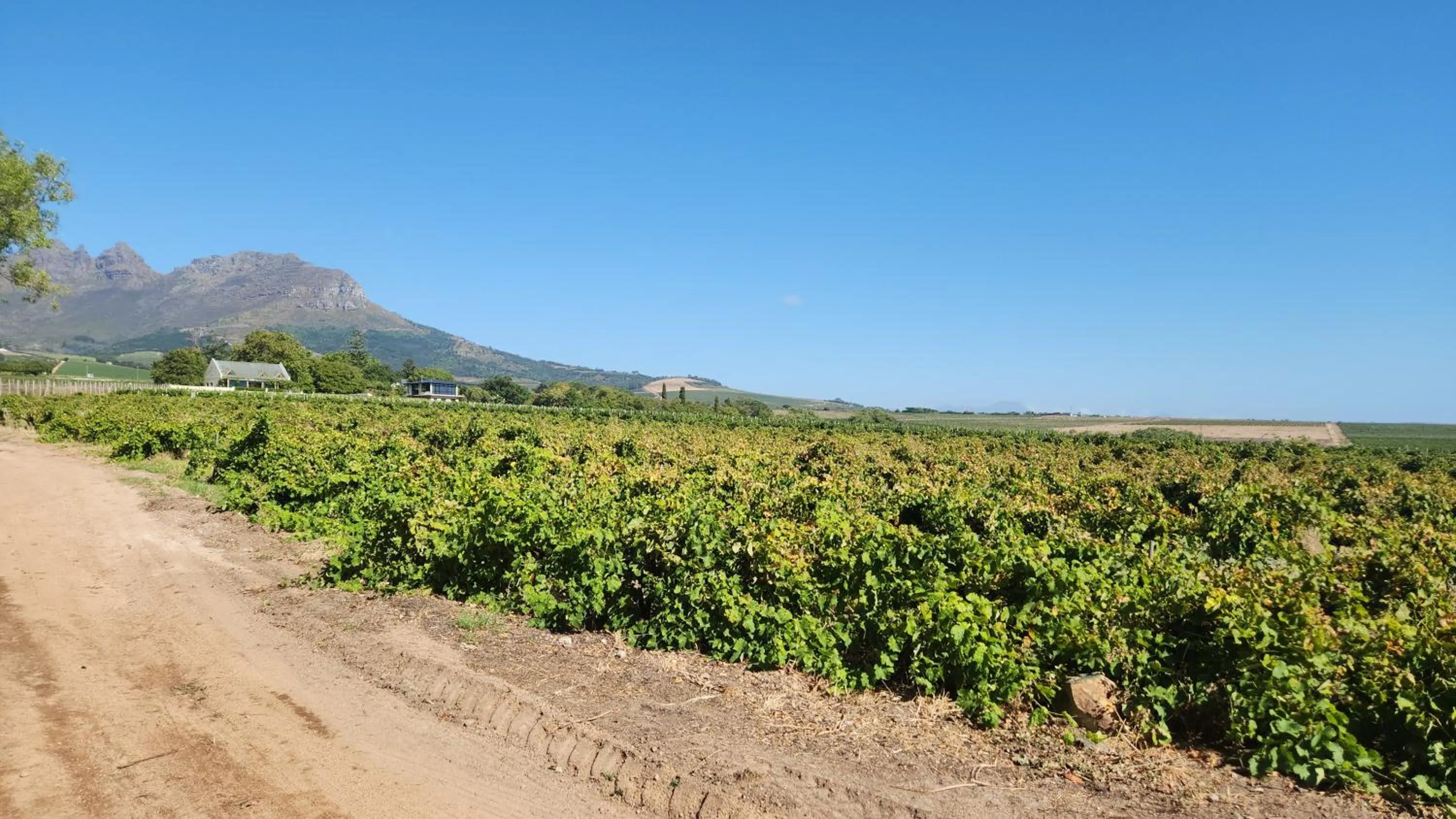 View (from property/room) in Eikendal Lodge