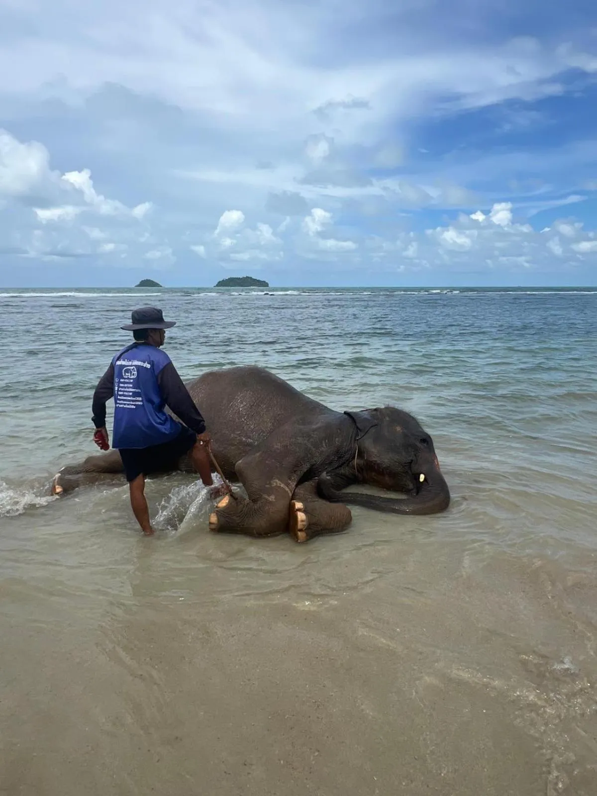 Tropical Paradise Leelawadee Resort