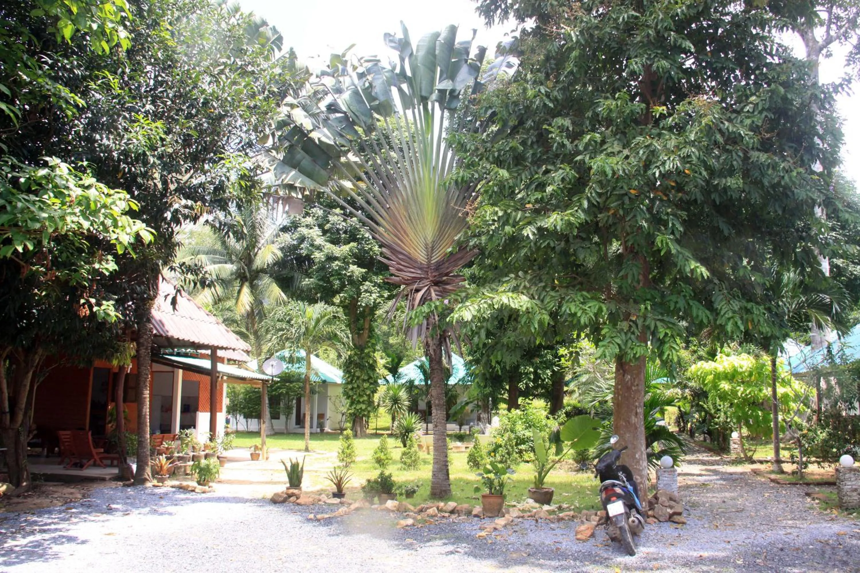Garden in Tropical Paradise Leelawadee Resort