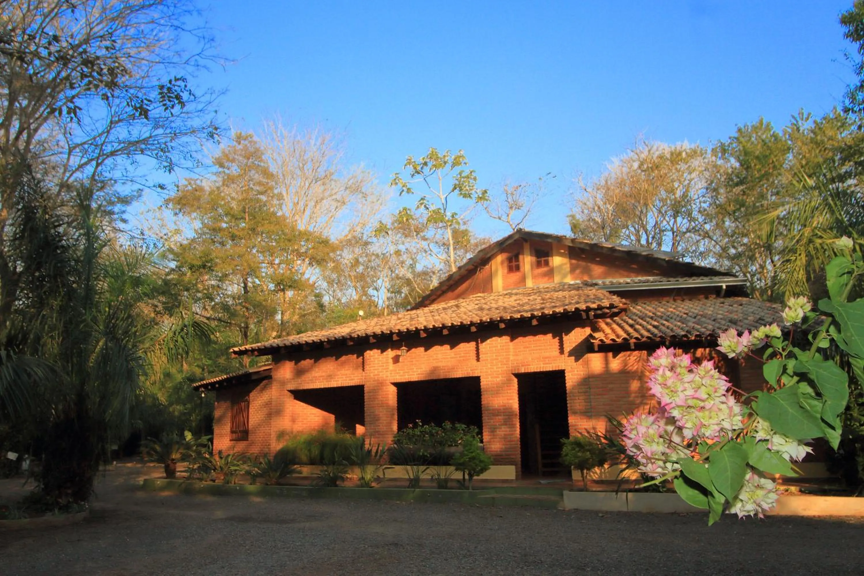 Garden view in Hotel Cabanas
