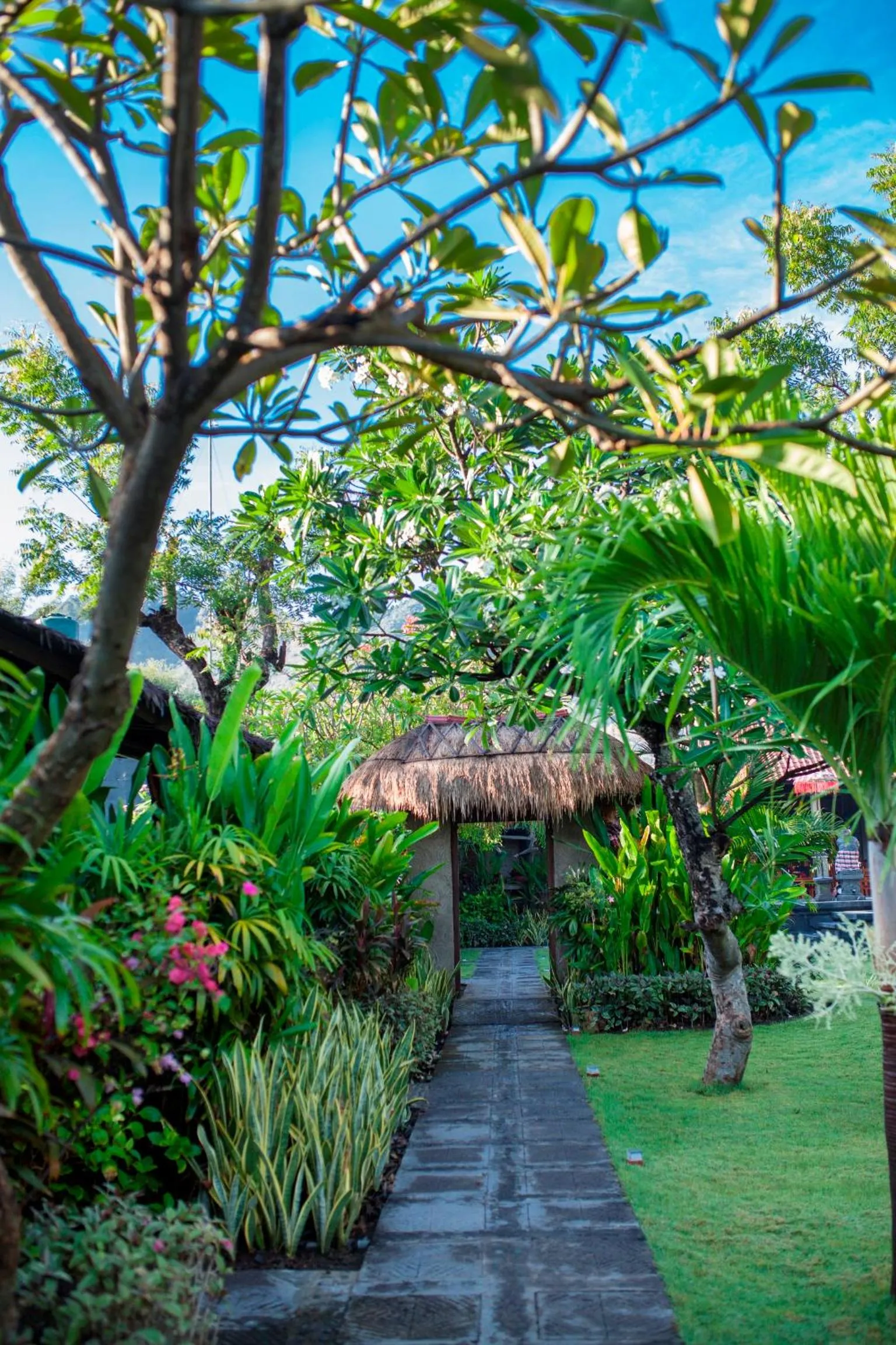 Garden view in Taruna Boutique Homestay & Spa