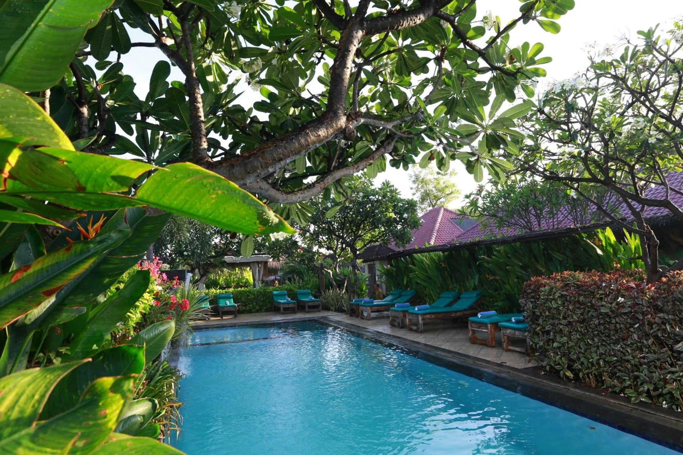 Swimming pool in Taruna Boutique Homestay & Spa