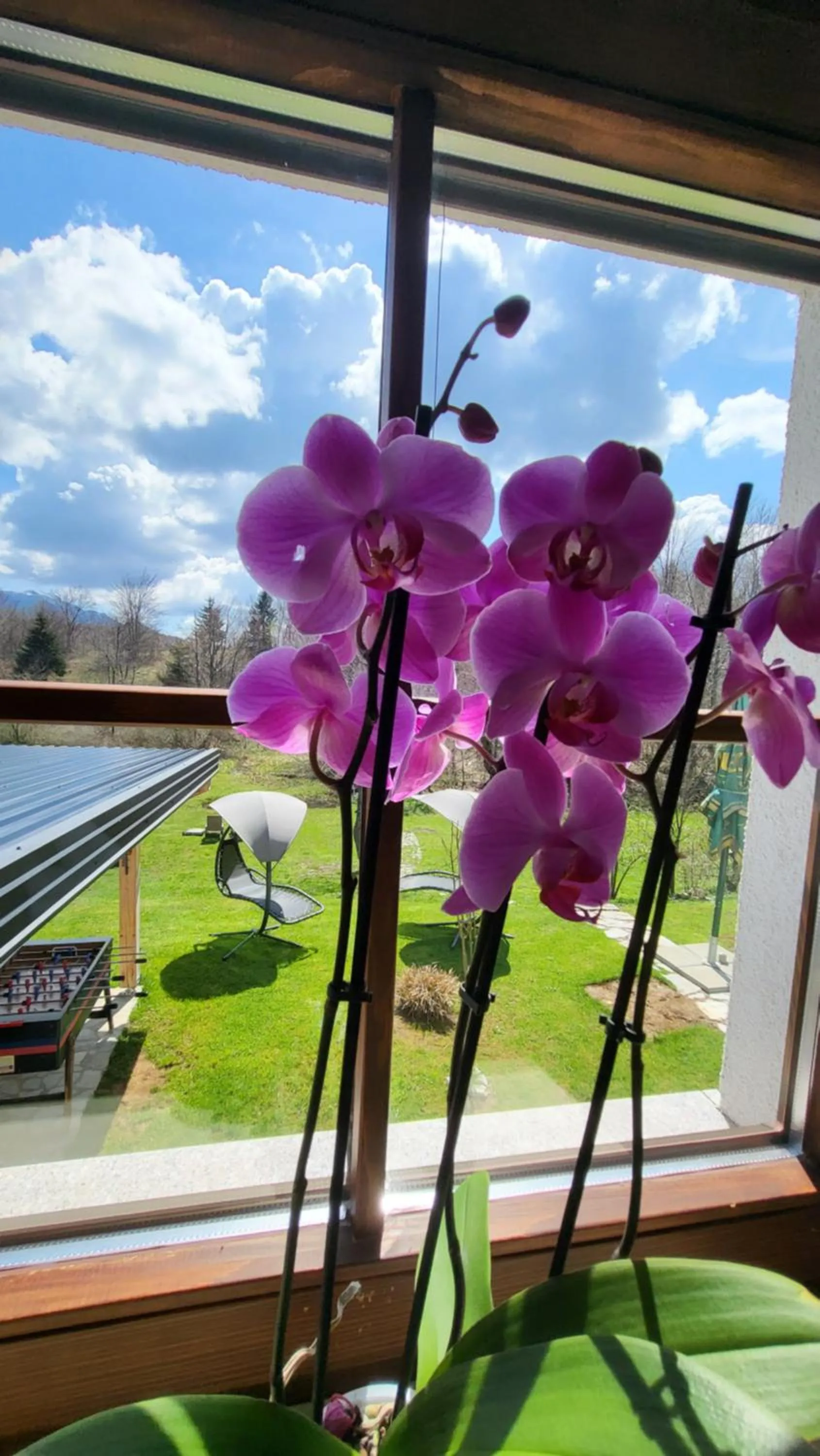 Garden view in Plitvice Inn