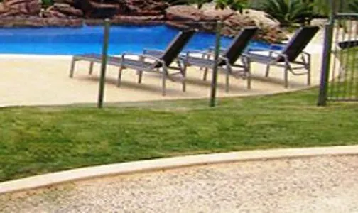 Day in Koala Tree Motel