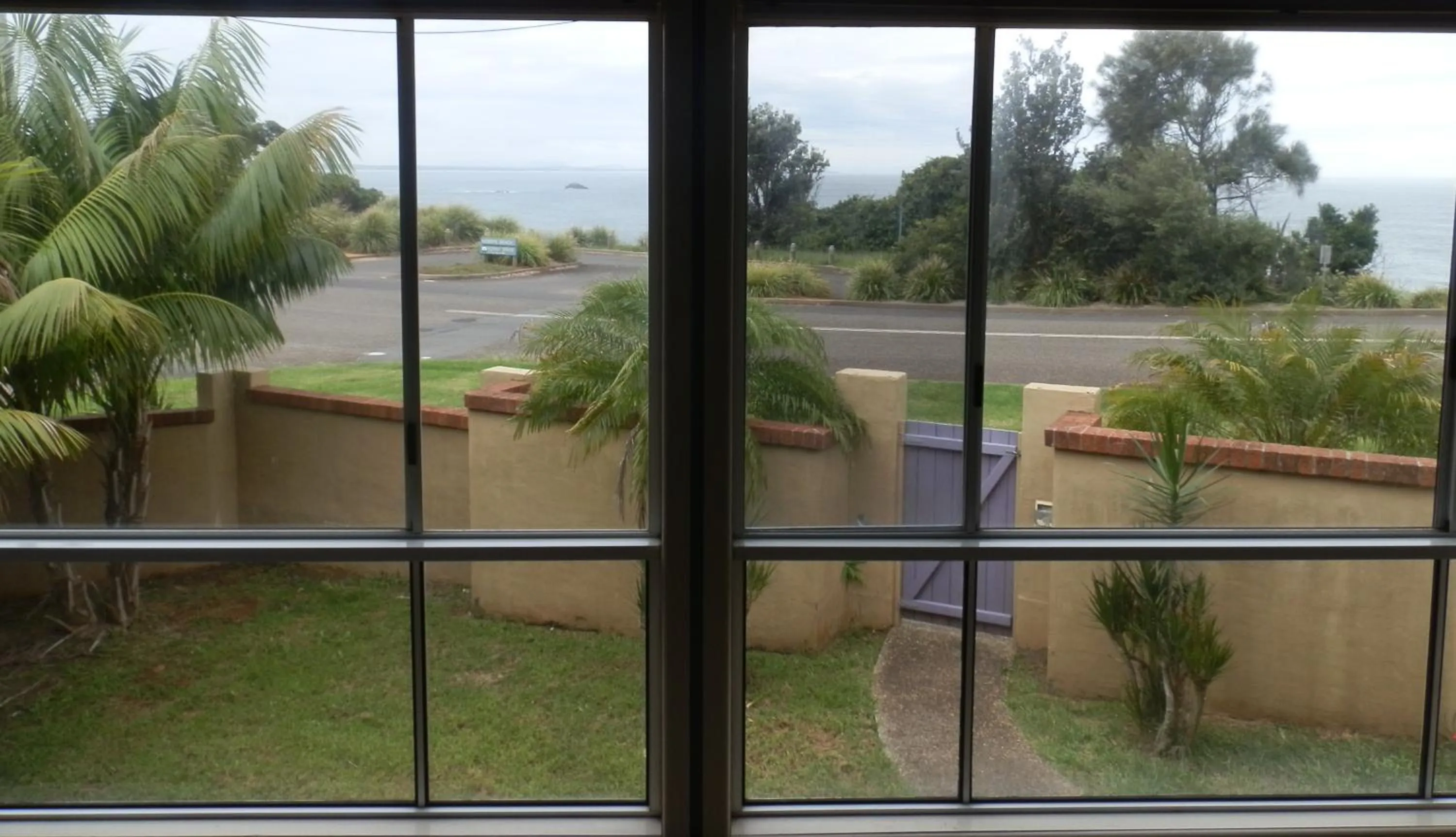 Day in Koala Tree Motel