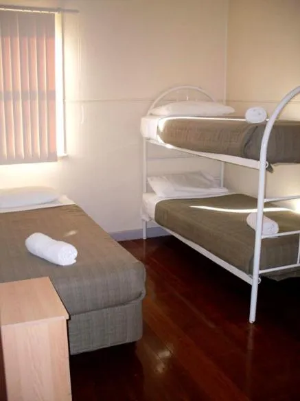 Day in Koala Tree Motel