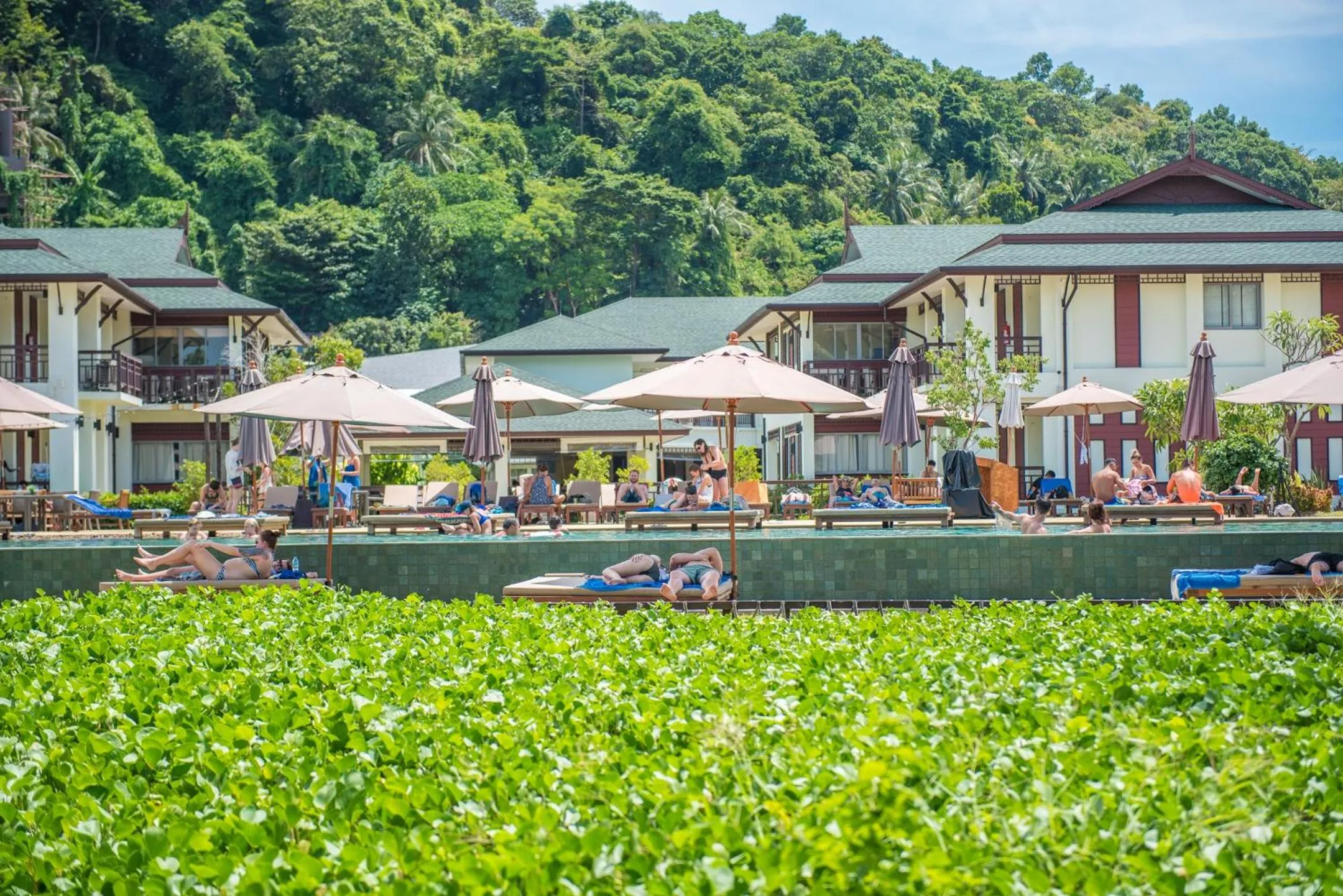 Pool view in PP Charlie Beach Resort