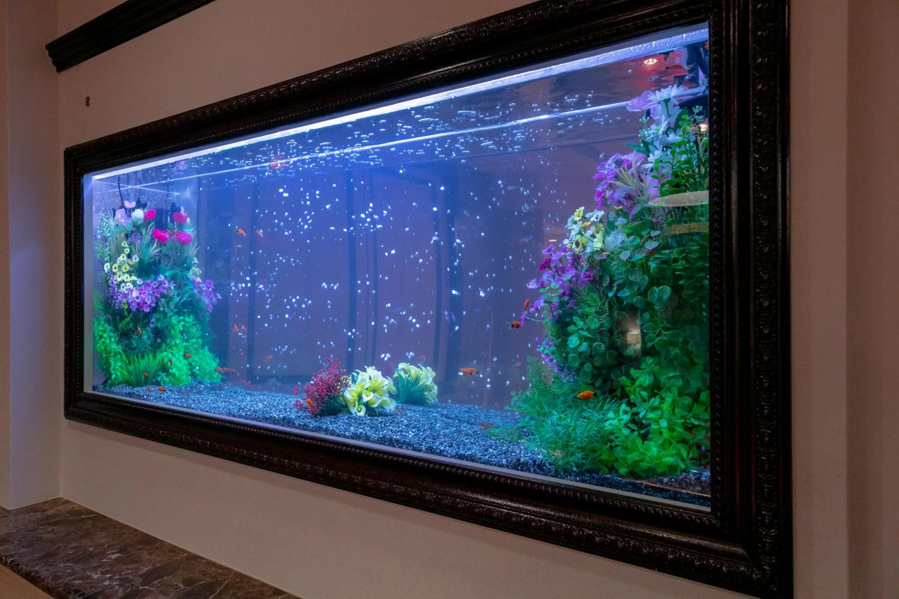 Hotel Luna Kashiba (Adult Only)