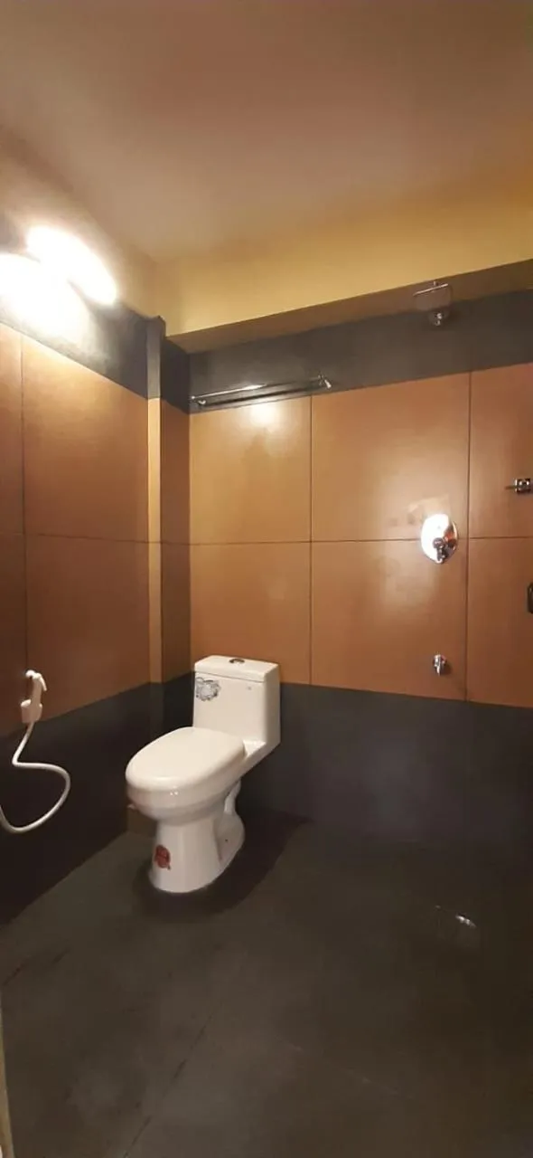 Toilet in Greenview holiday inn