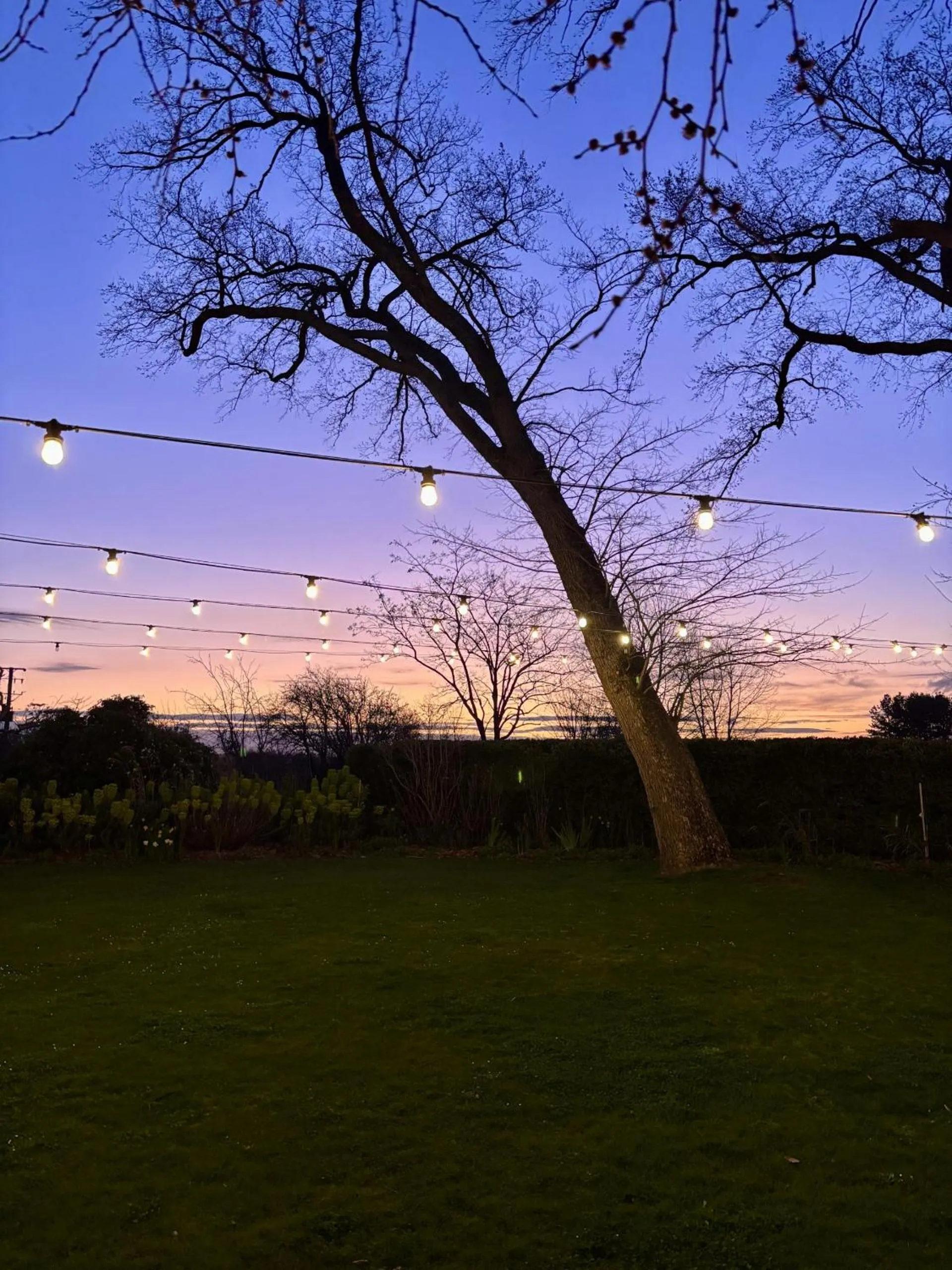 Garden in Quamby Estate - Boutique Country House