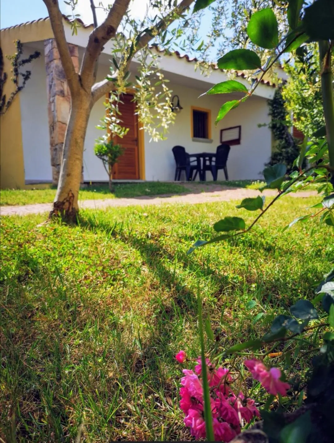 Property building in Hotel Cala Mirto