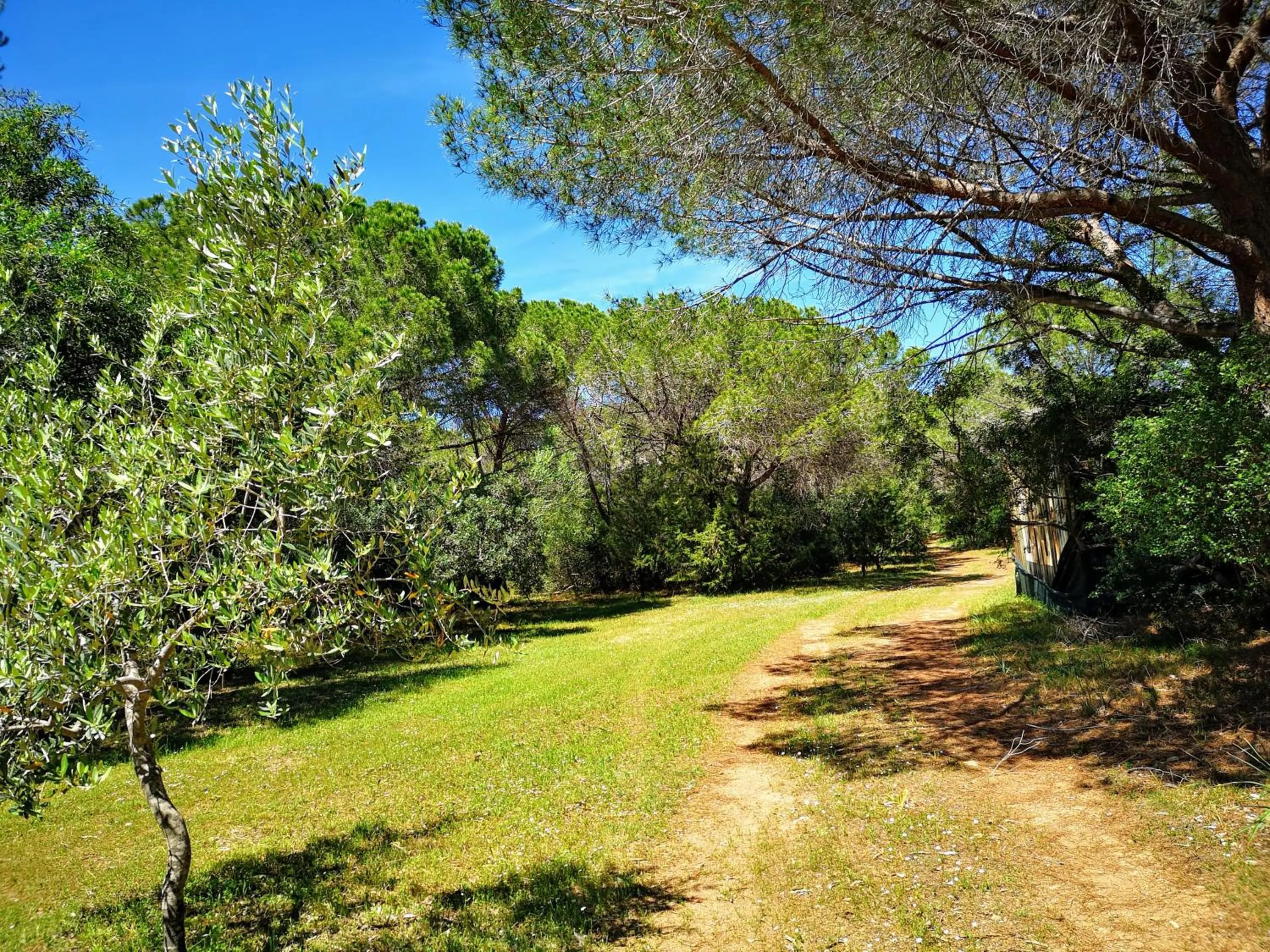 Natural landscape in Hotel Cala Mirto