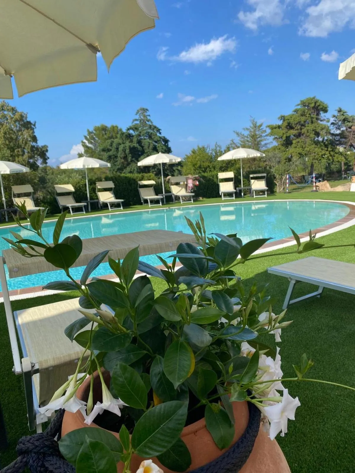 Swimming pool in Hotel Cala Mirto