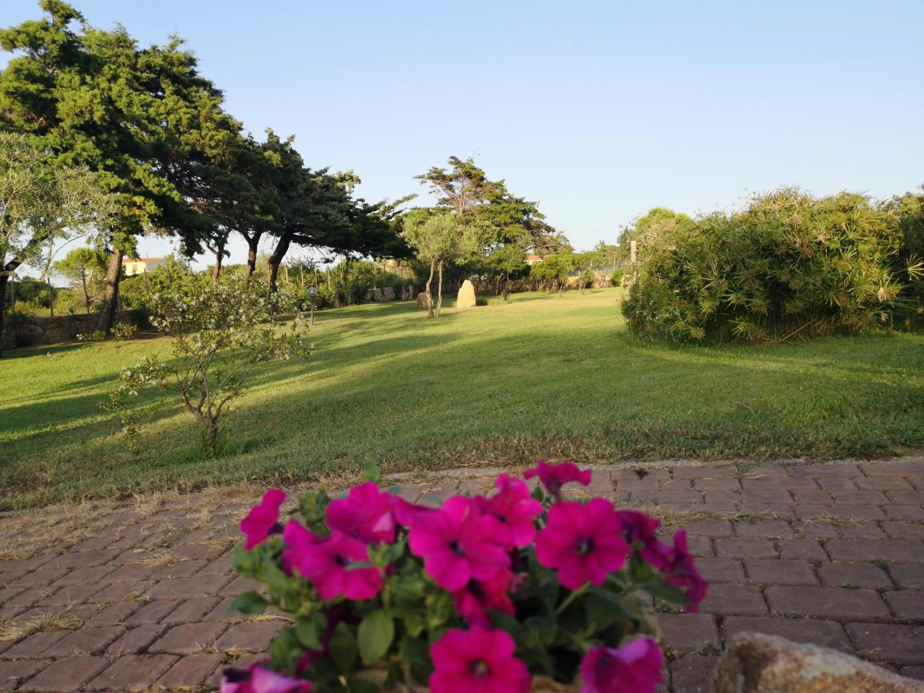 Property building in Hotel Cala Mirto
