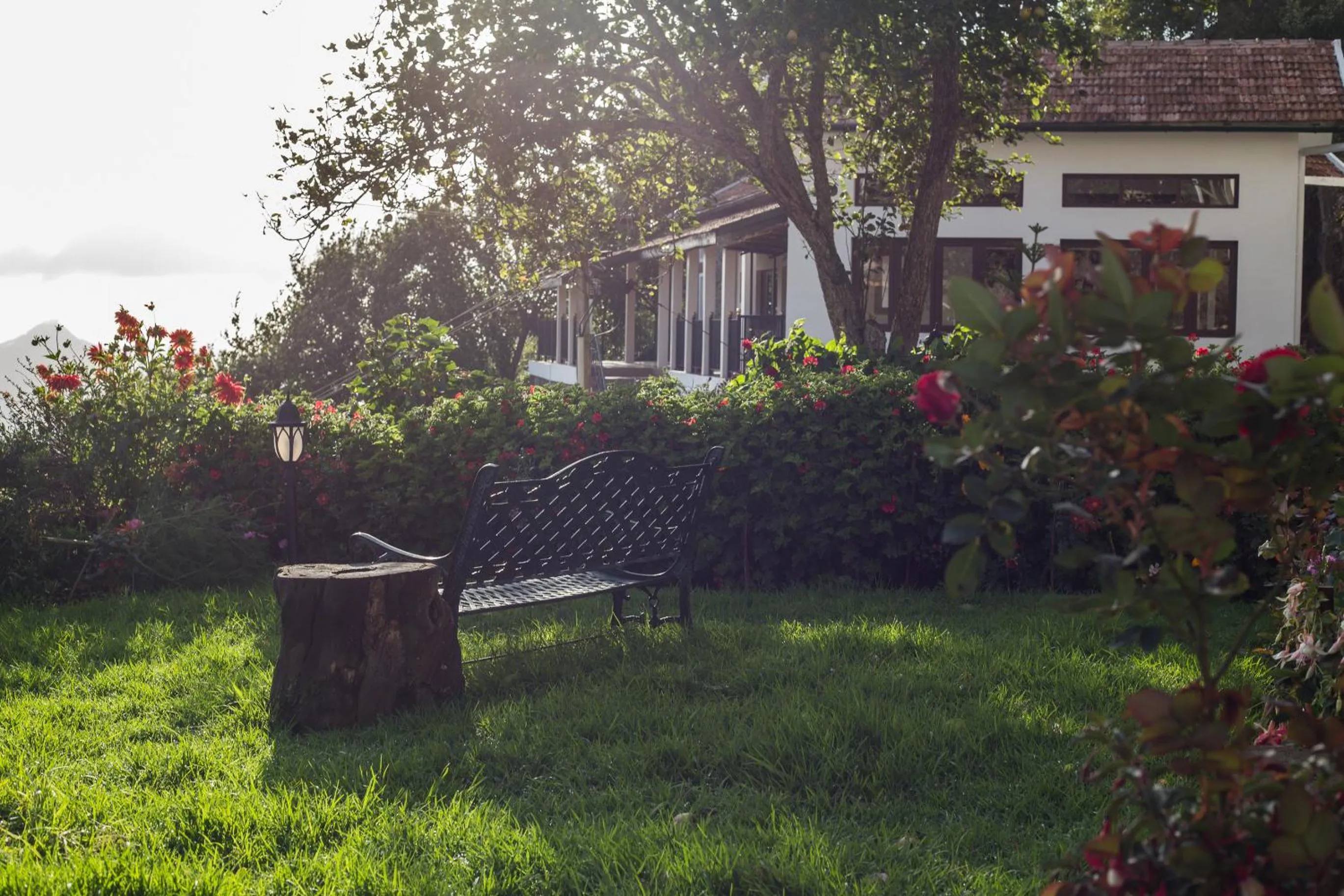 Garden in The Xanadu Meghadootam
