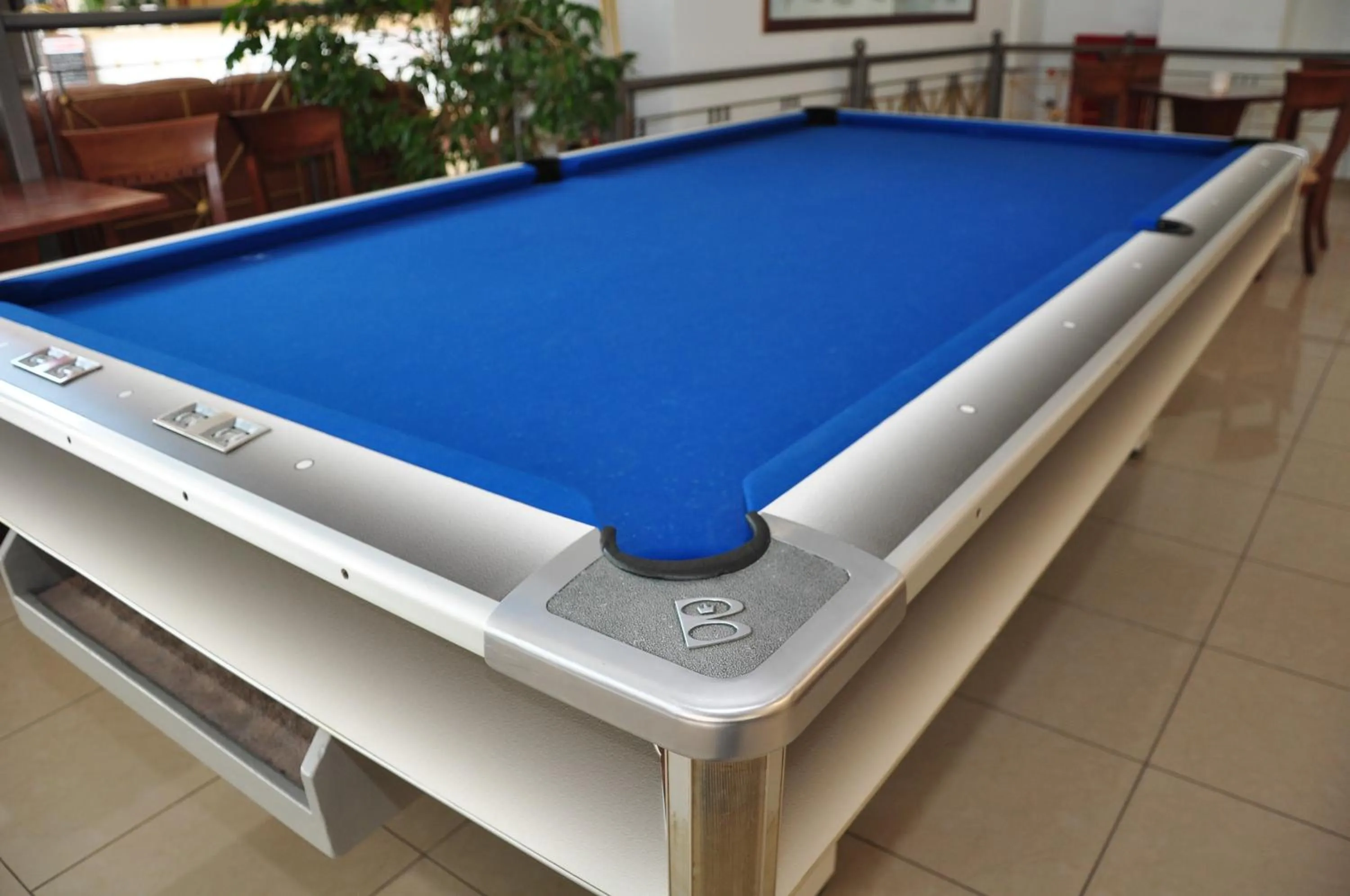 Billiard in Arta Palace