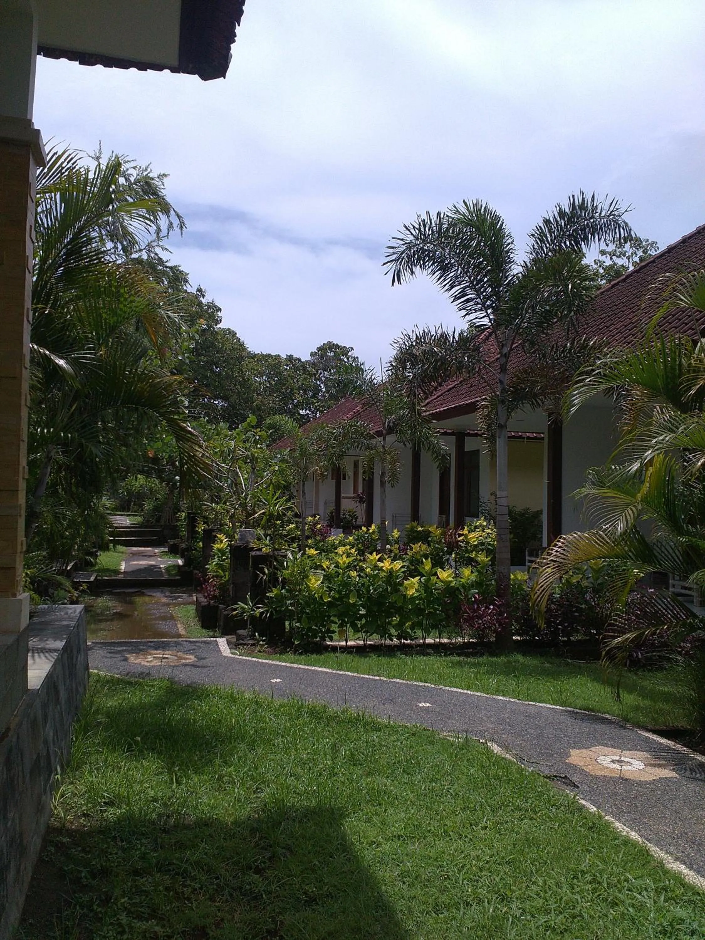 Garden in Medori Putih Homestay