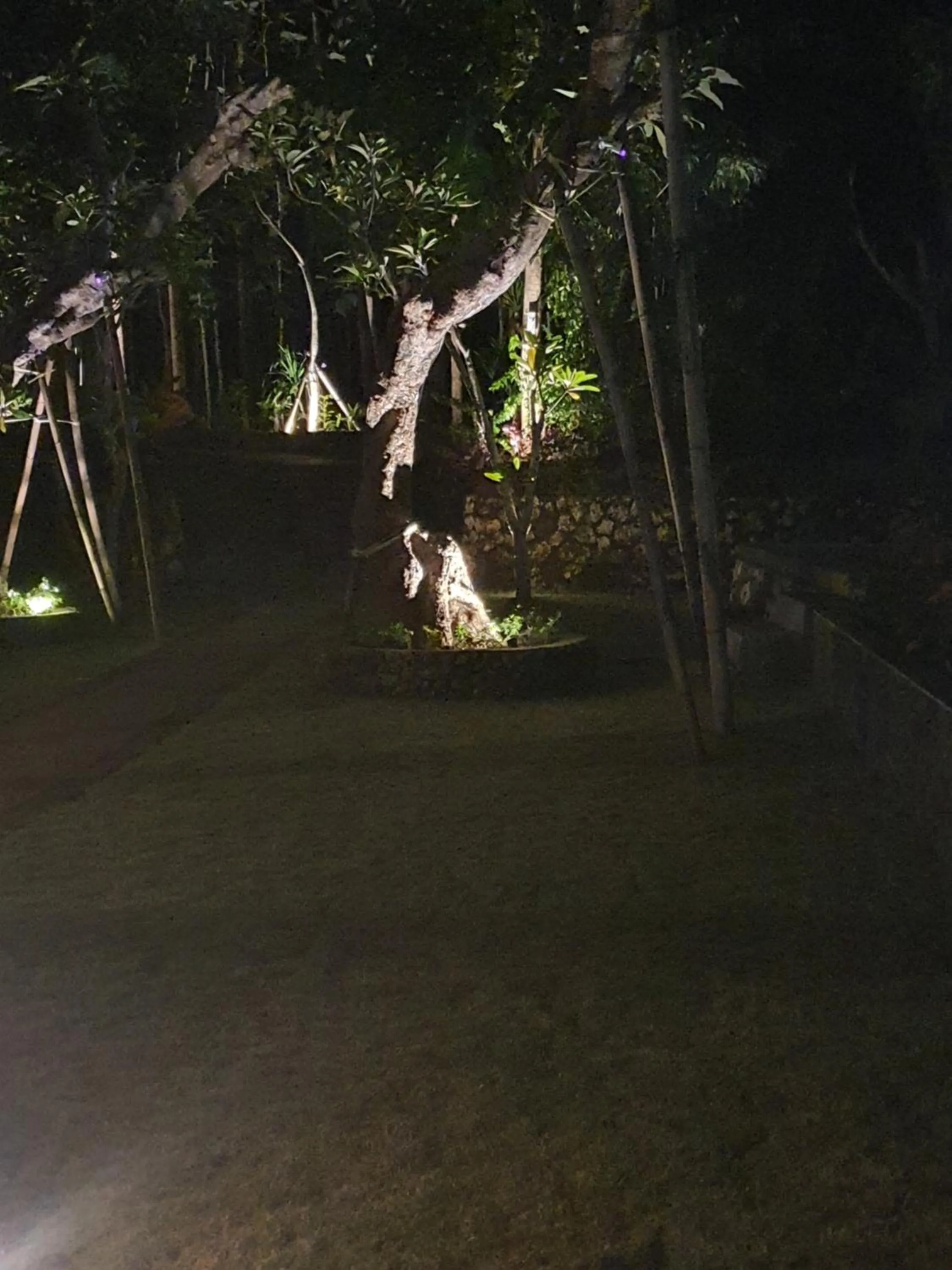 Medori Putih Homestay