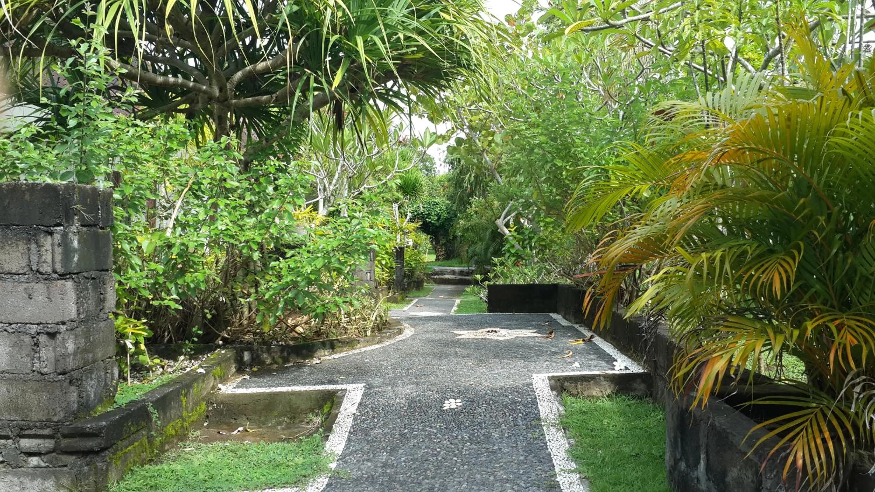 Medori Putih Homestay