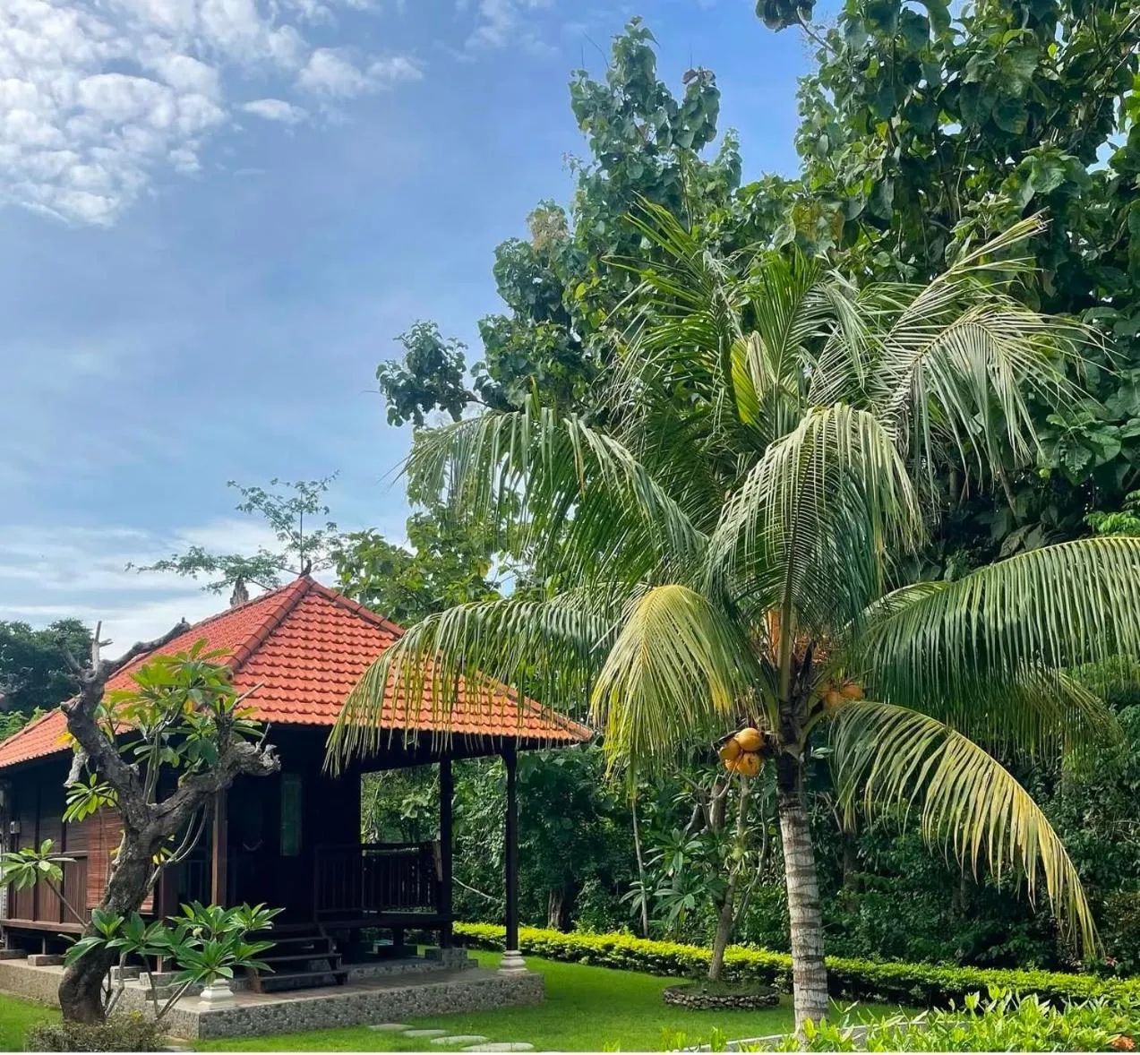 Garden view in Medori Putih Homestay