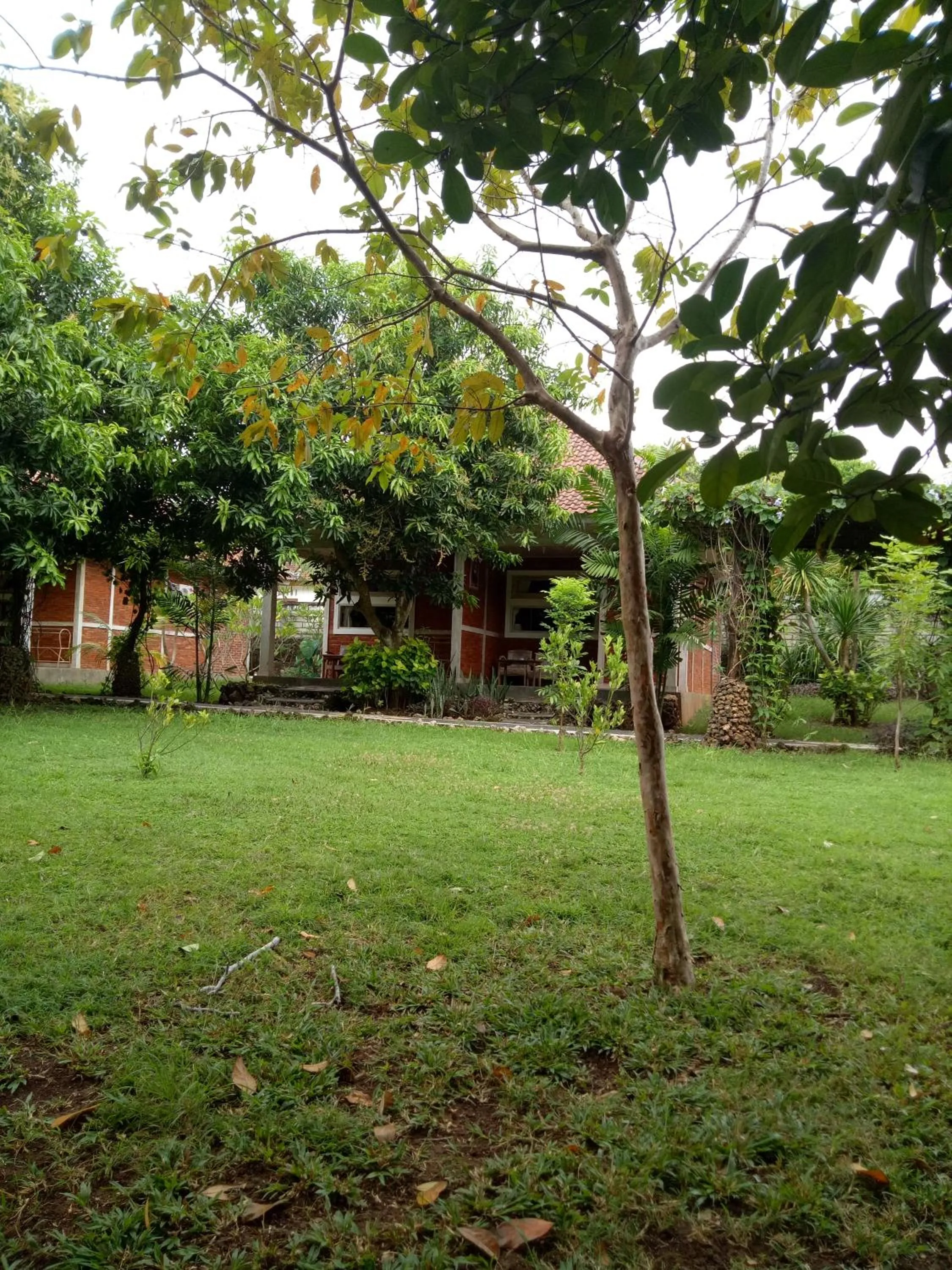 Medori Putih Homestay