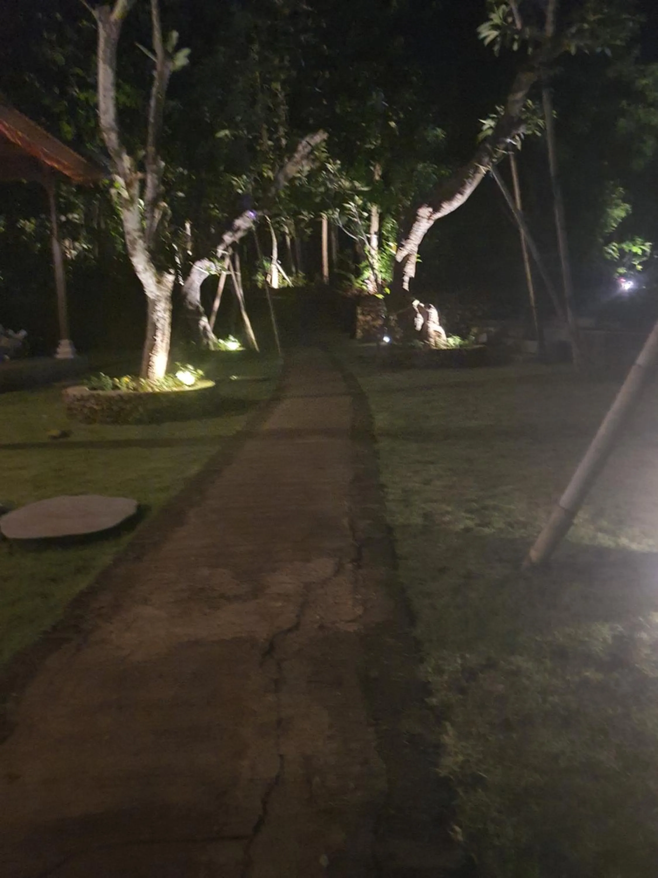 Medori Putih Homestay