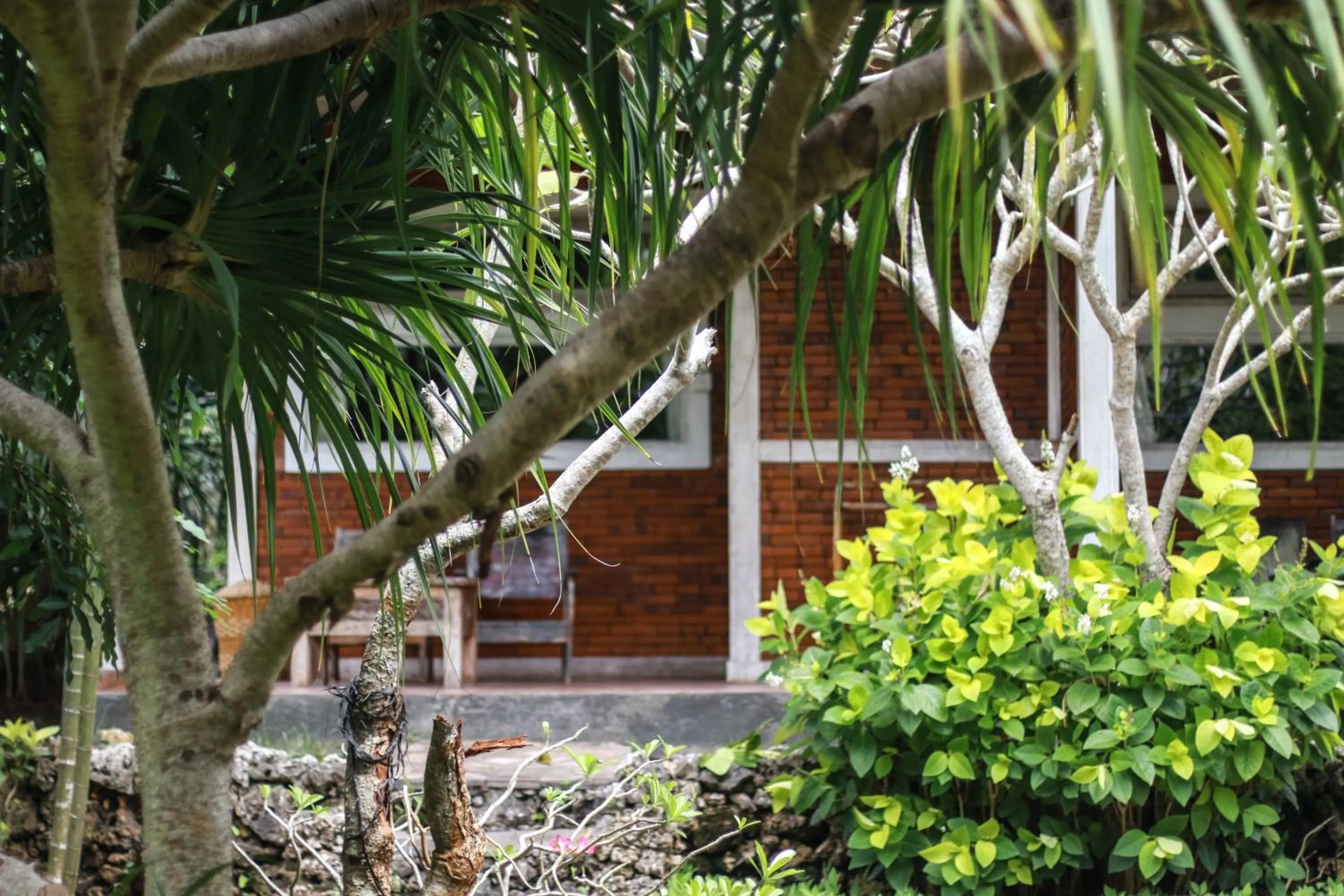 Medori Putih Homestay