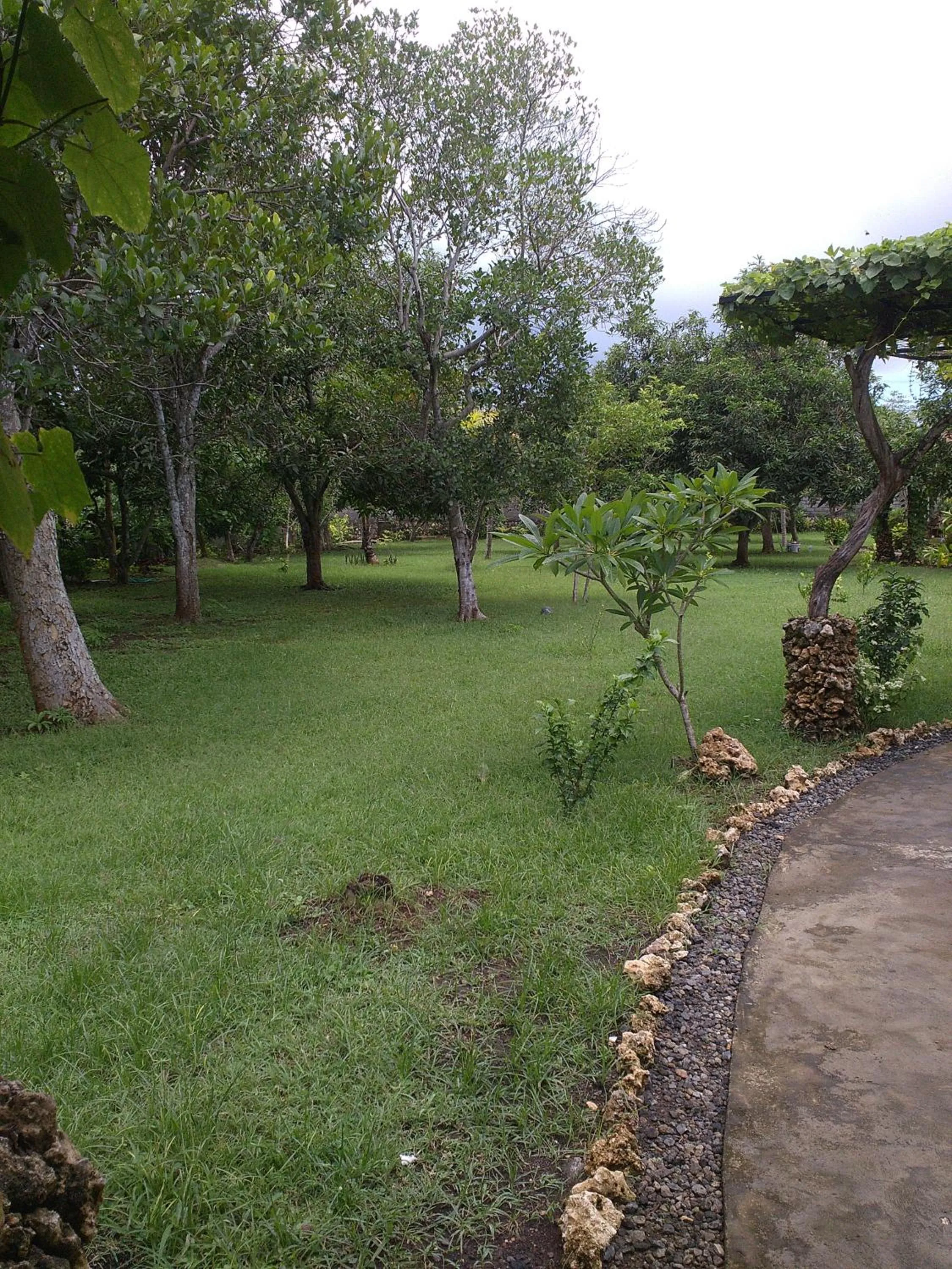 Garden in Medori Putih Homestay