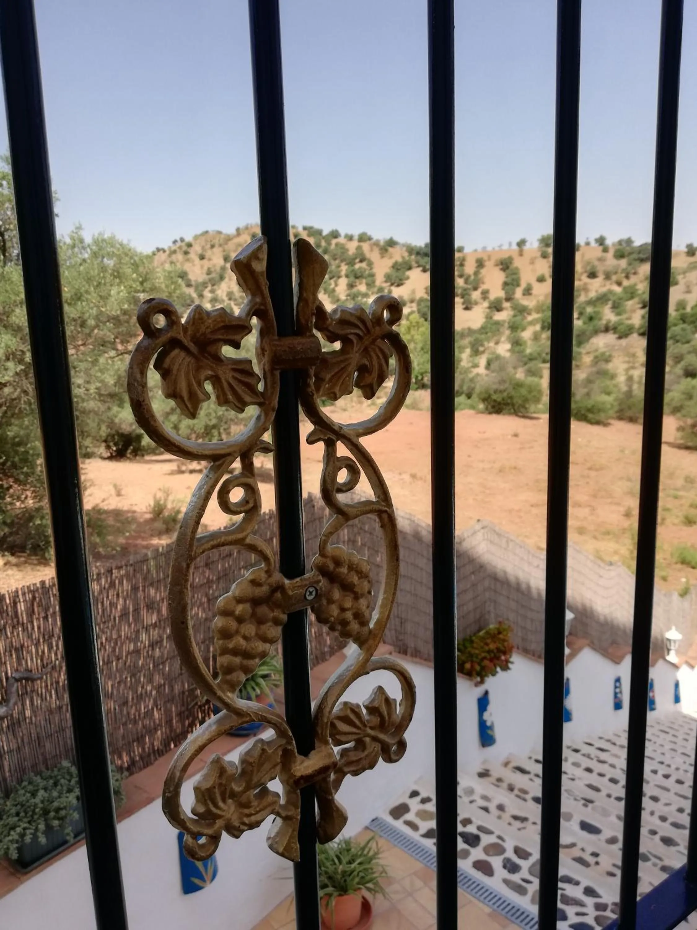 Balcony/Terrace in B&B Casa El Corasueño