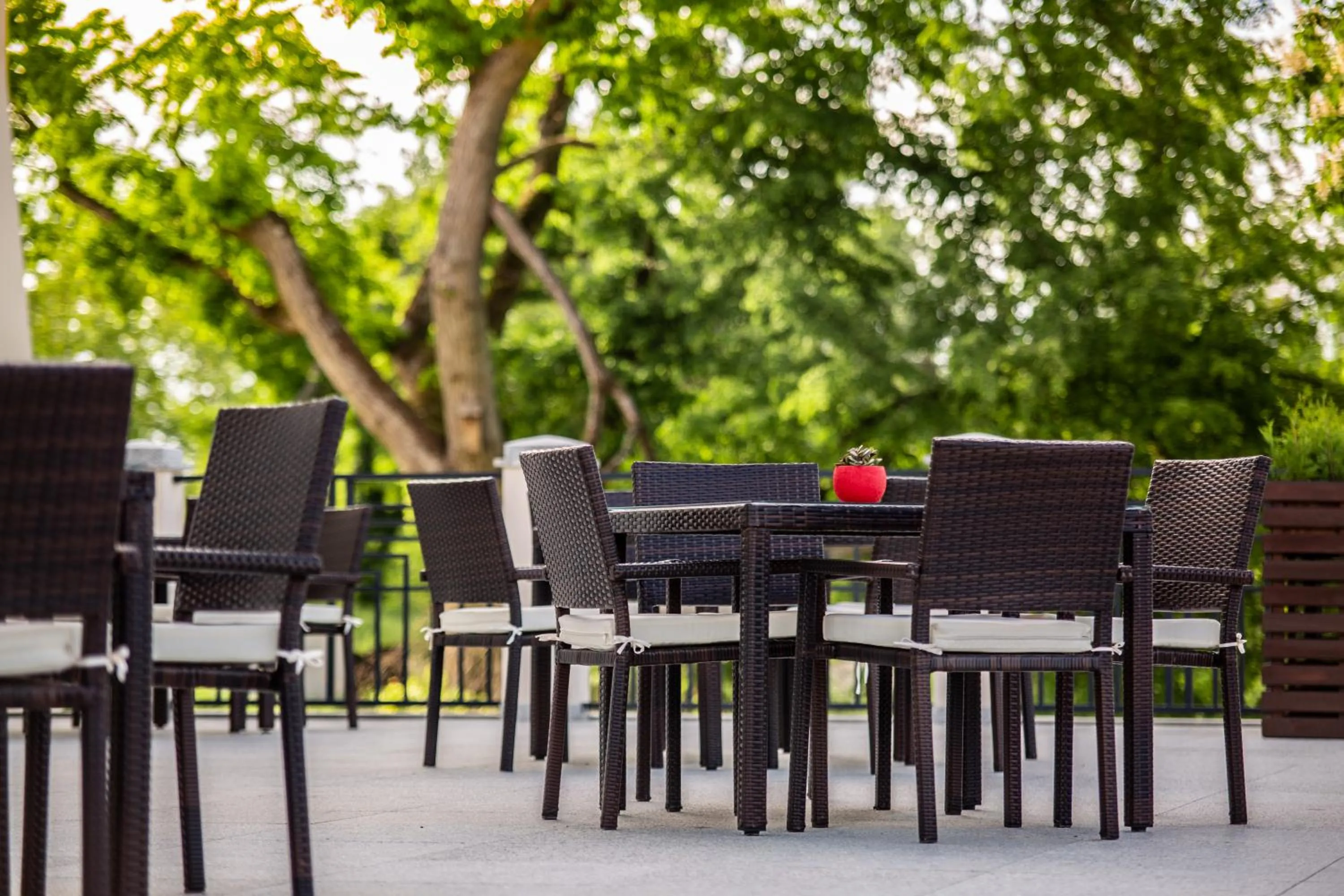 Patio in Pałac Komierowo