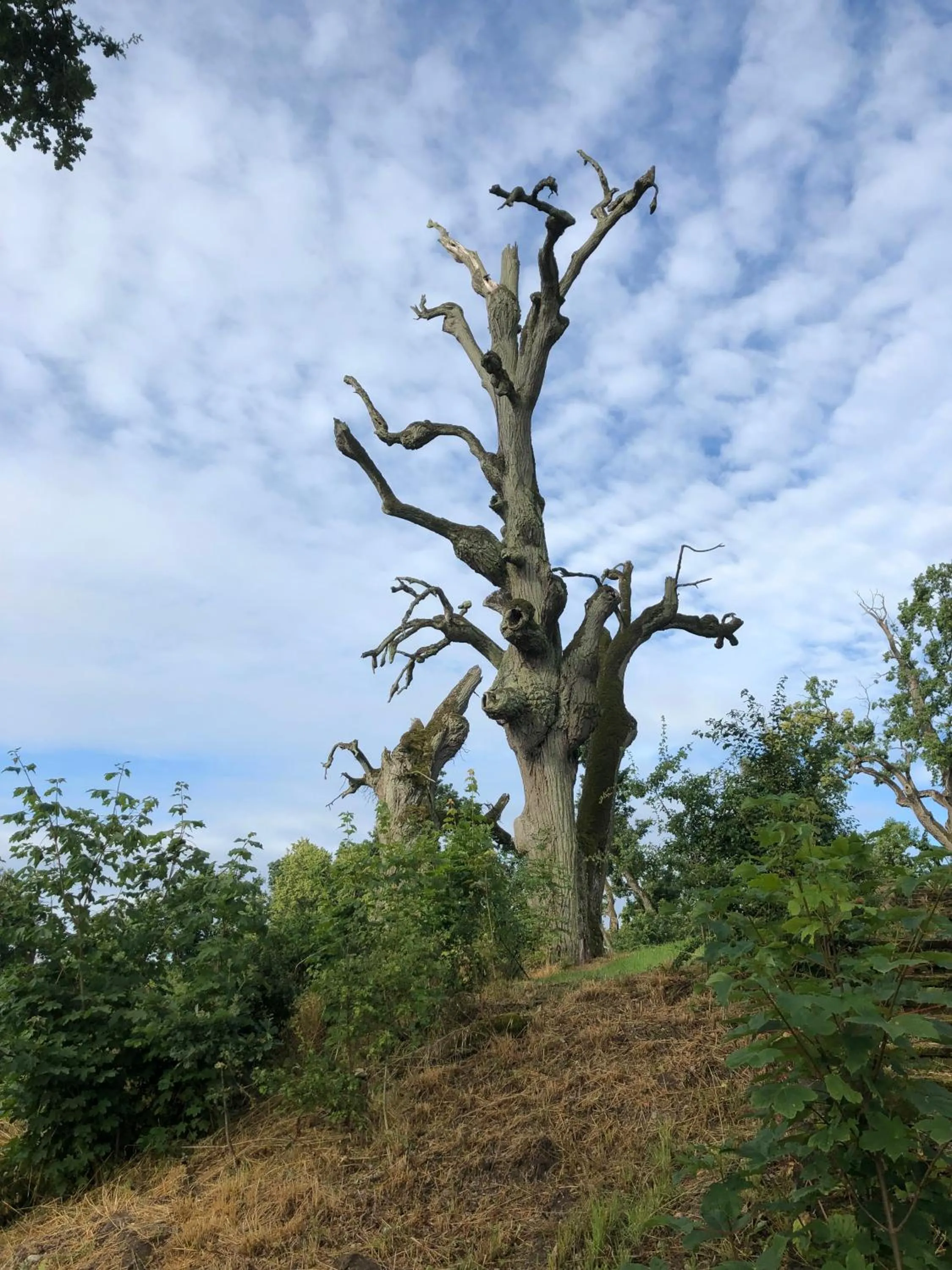 Day in Pałac Komierowo