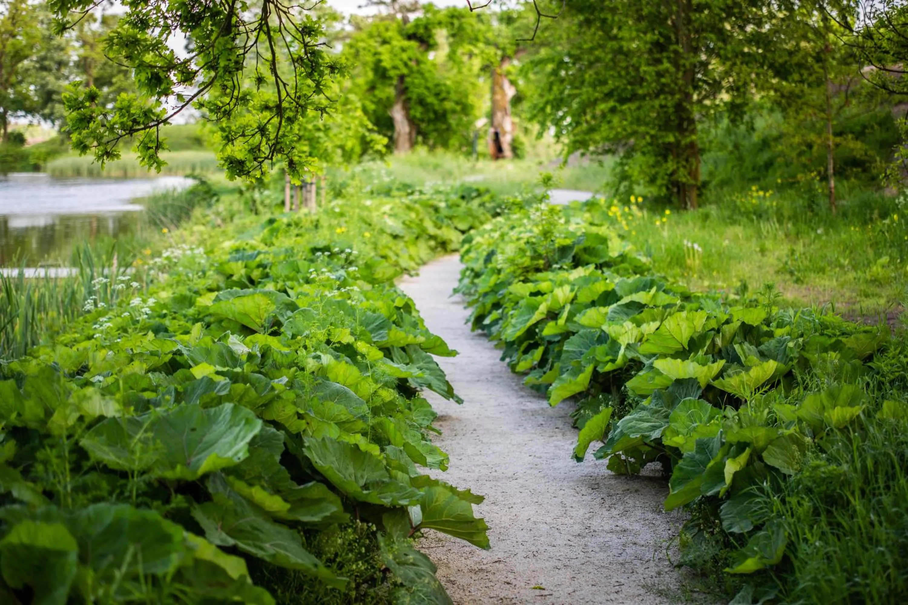 Day in Pałac Komierowo