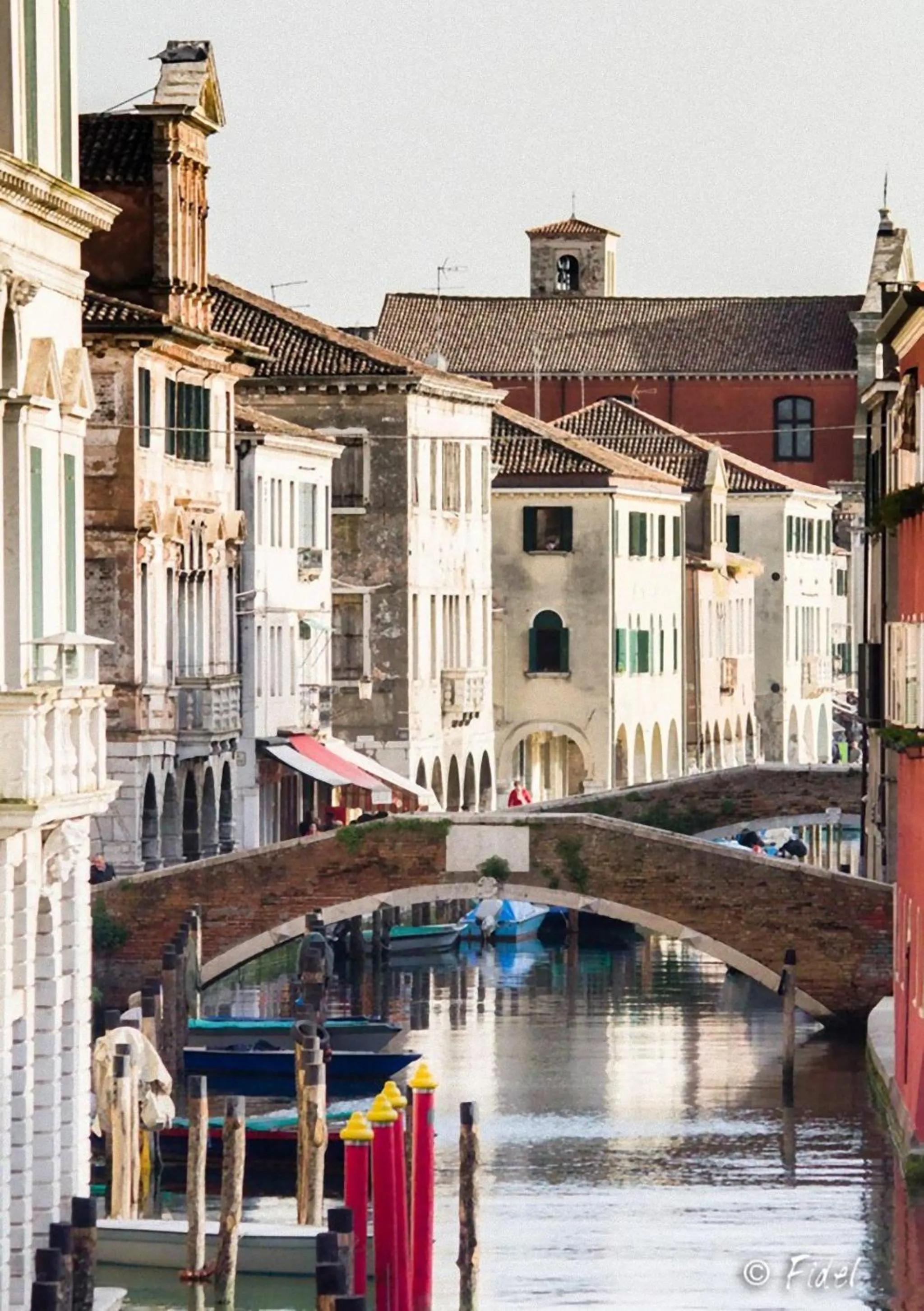 Area and facilities in Residence Eleonora