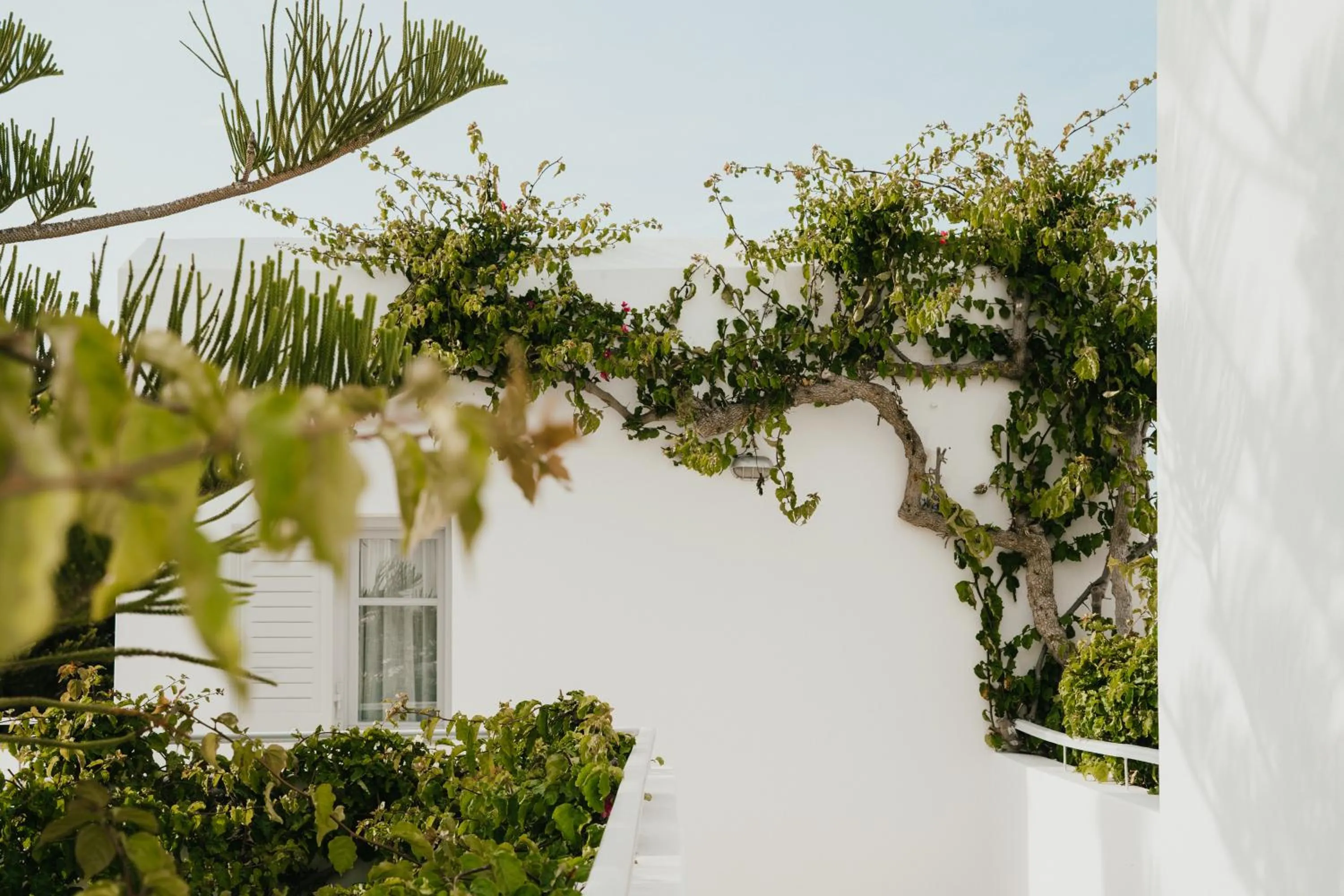 Property building in Mr and Mrs White Paros
