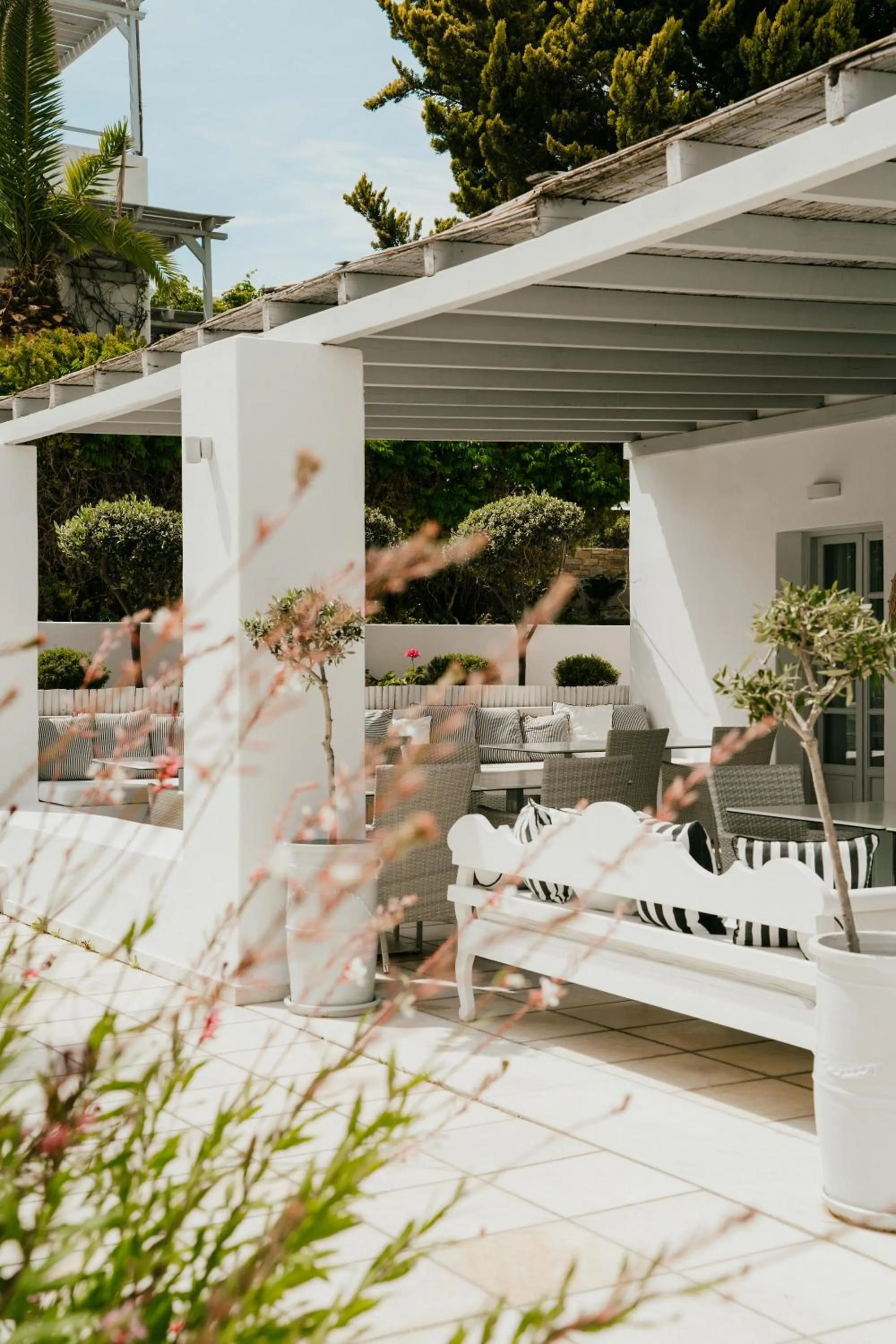 Restaurant/places to eat in Mr and Mrs White Paros