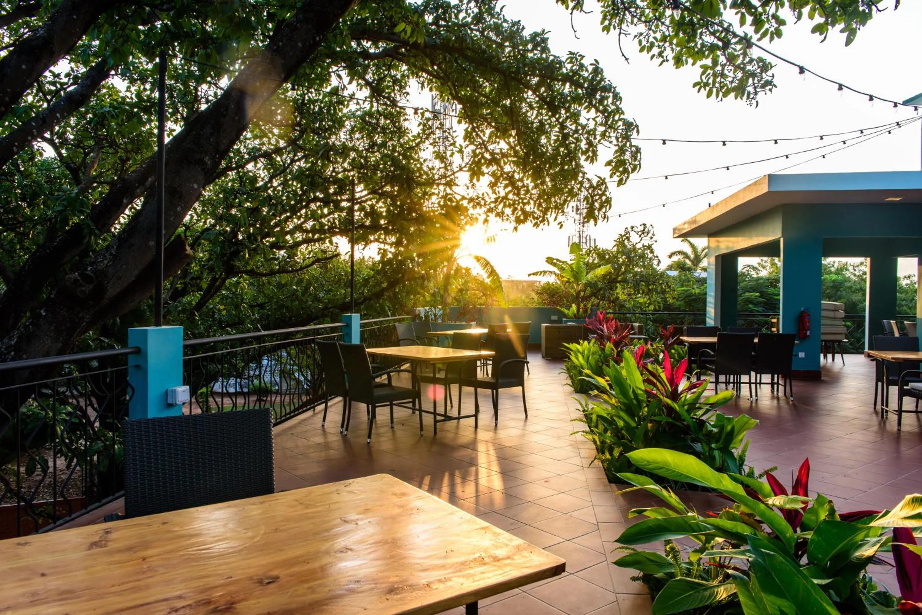 Day in Fig Tree Residences