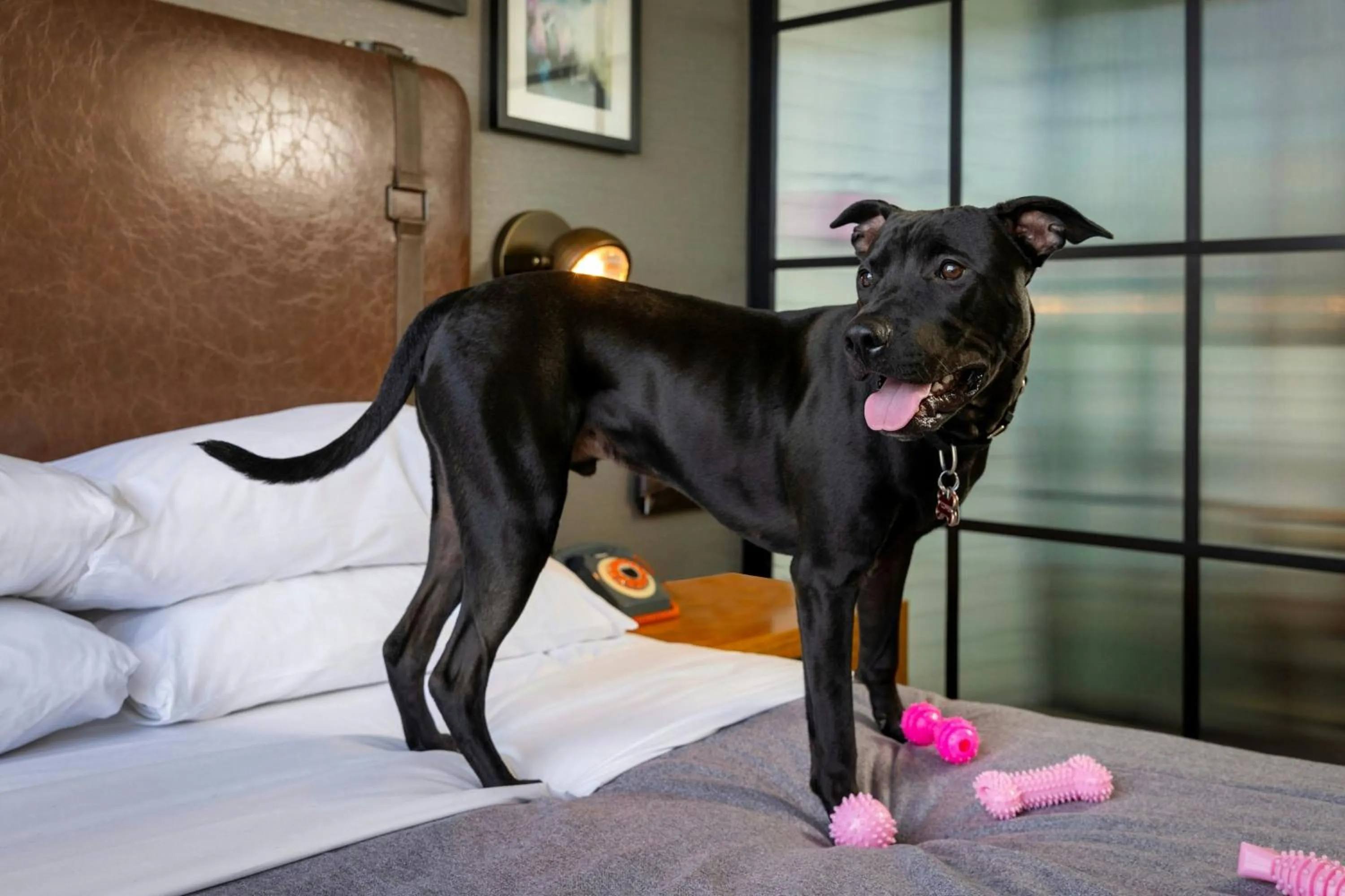 Other in Moxy Washington, DC Downtown