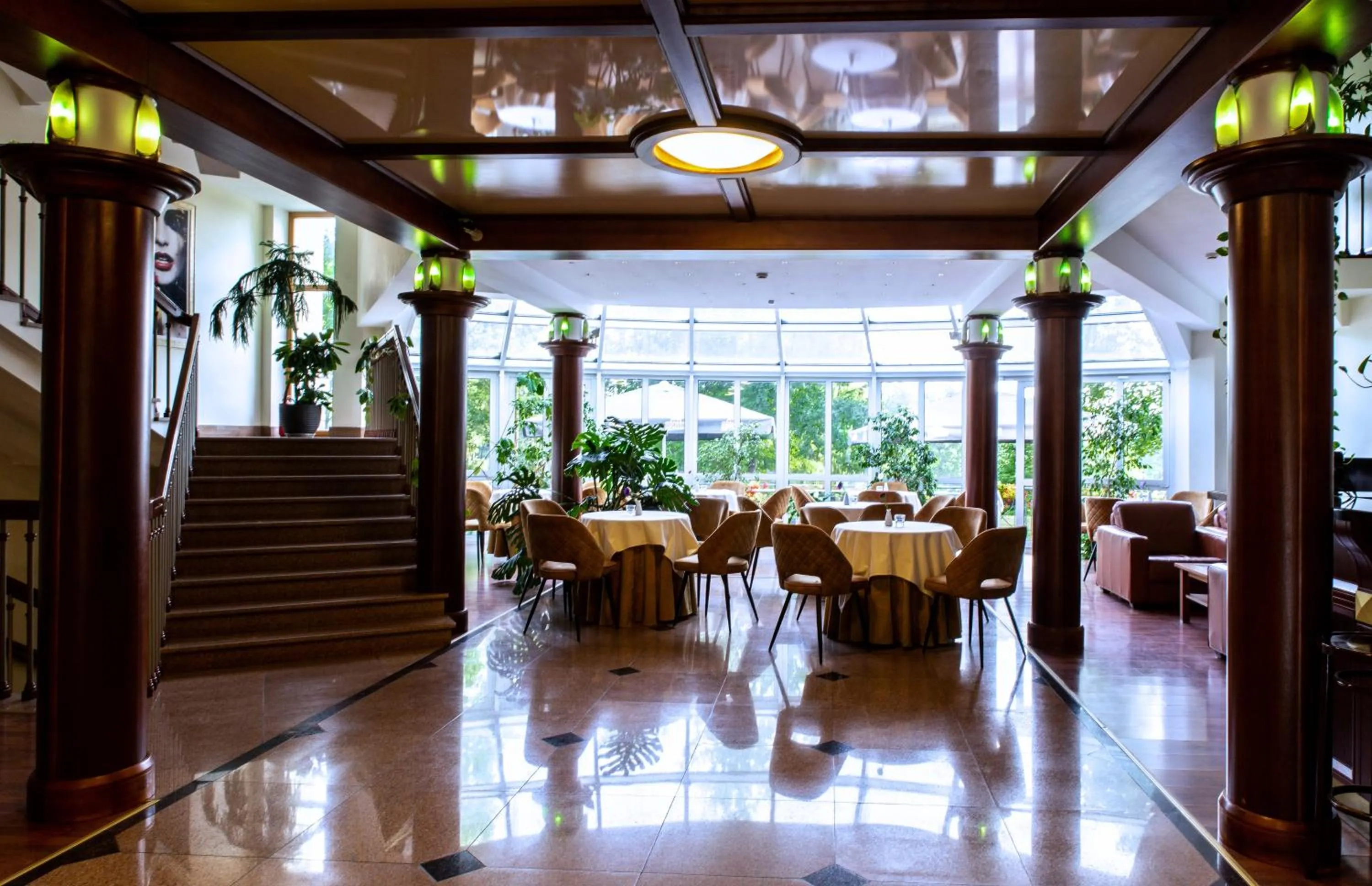 Area and facilities in Hotel Violeta