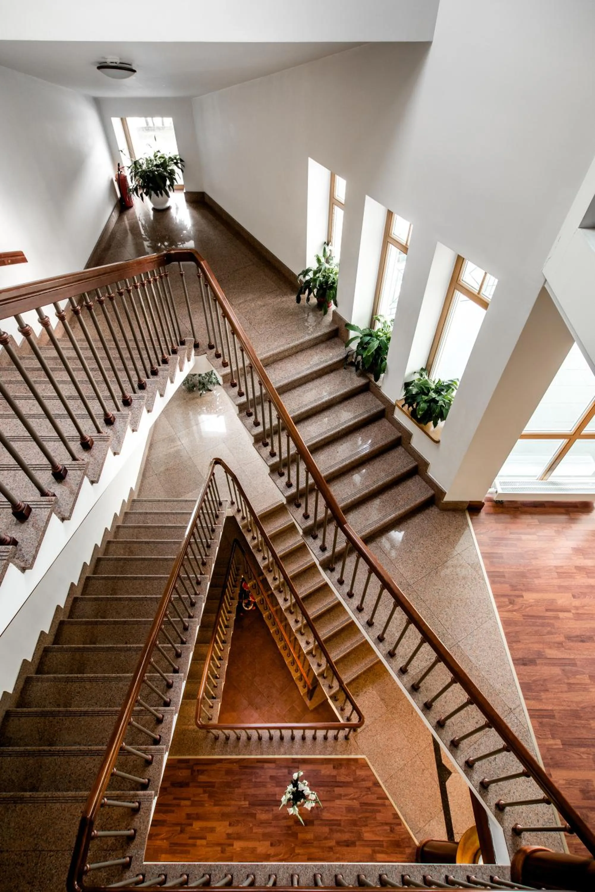 Area and facilities in Hotel Violeta