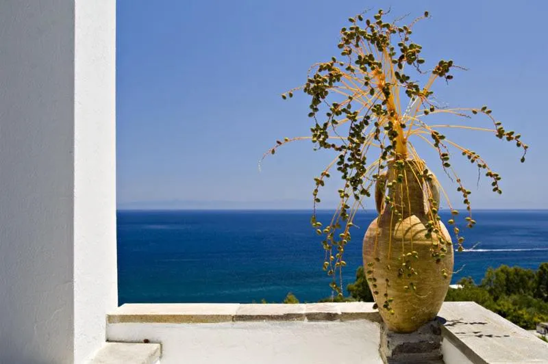 Balcony/Terrace in Hotel Girasole