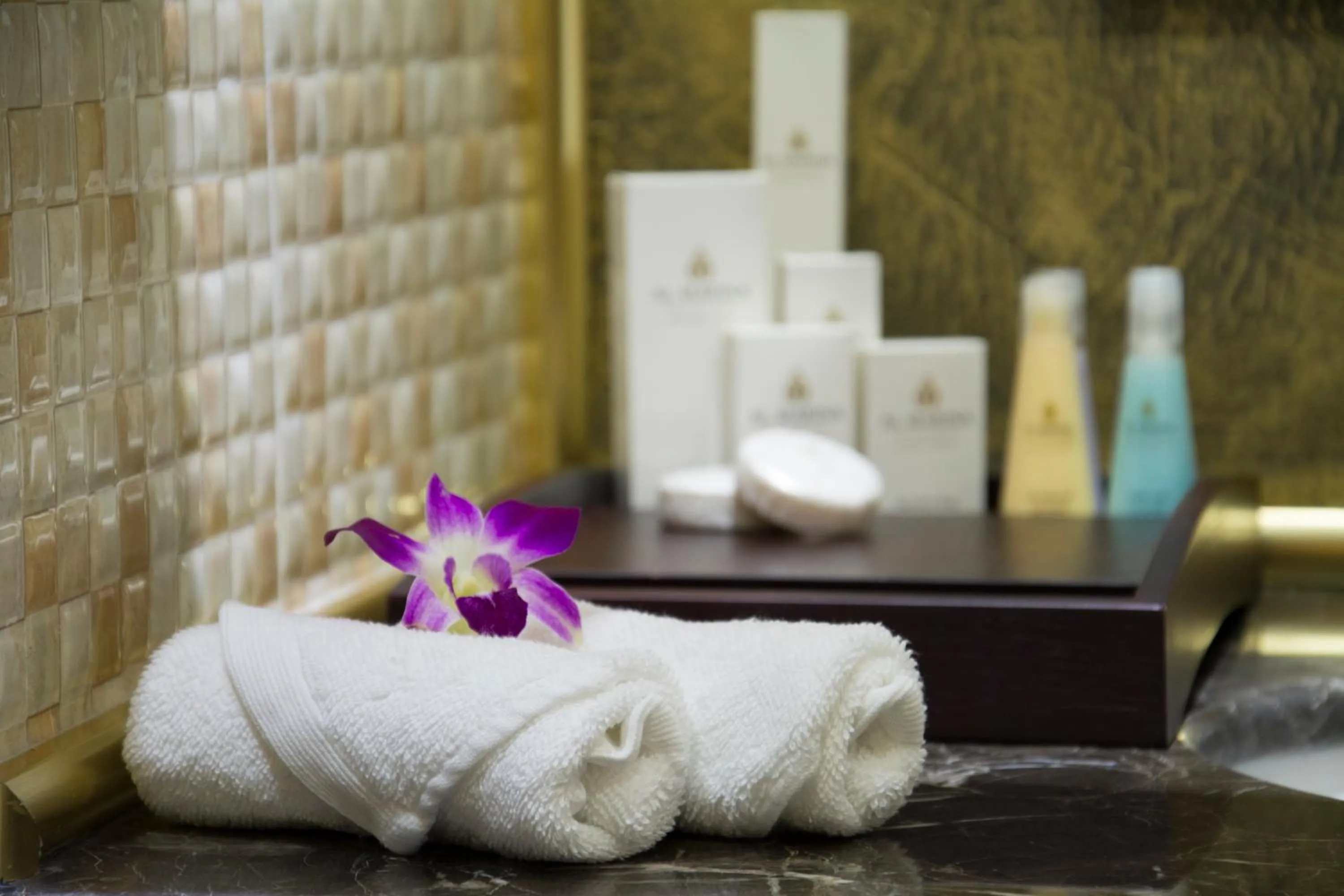 Bathroom in Western Hotel - Ghayathi