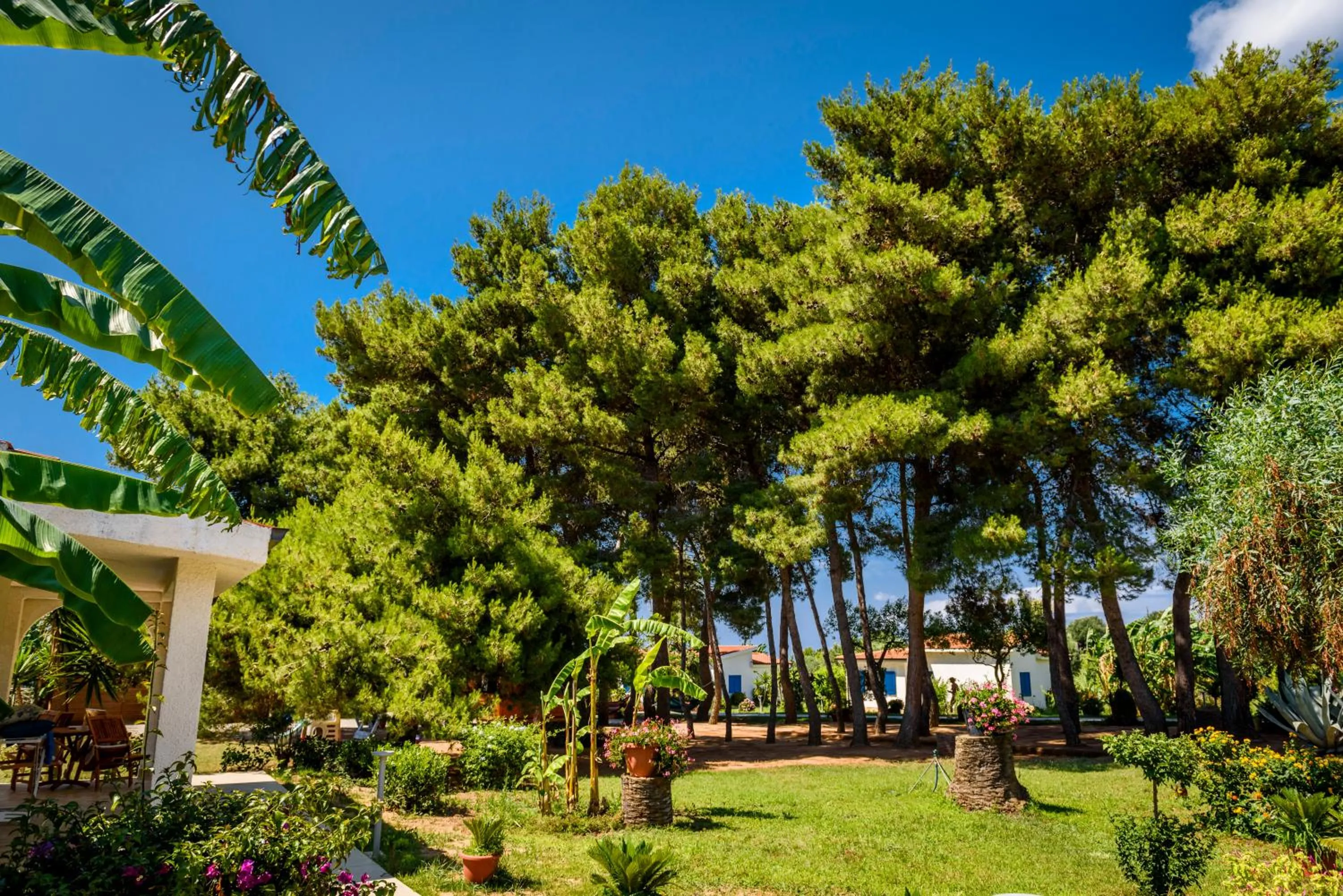 Garden in TUISuneo La Conchiglia - Adults Only