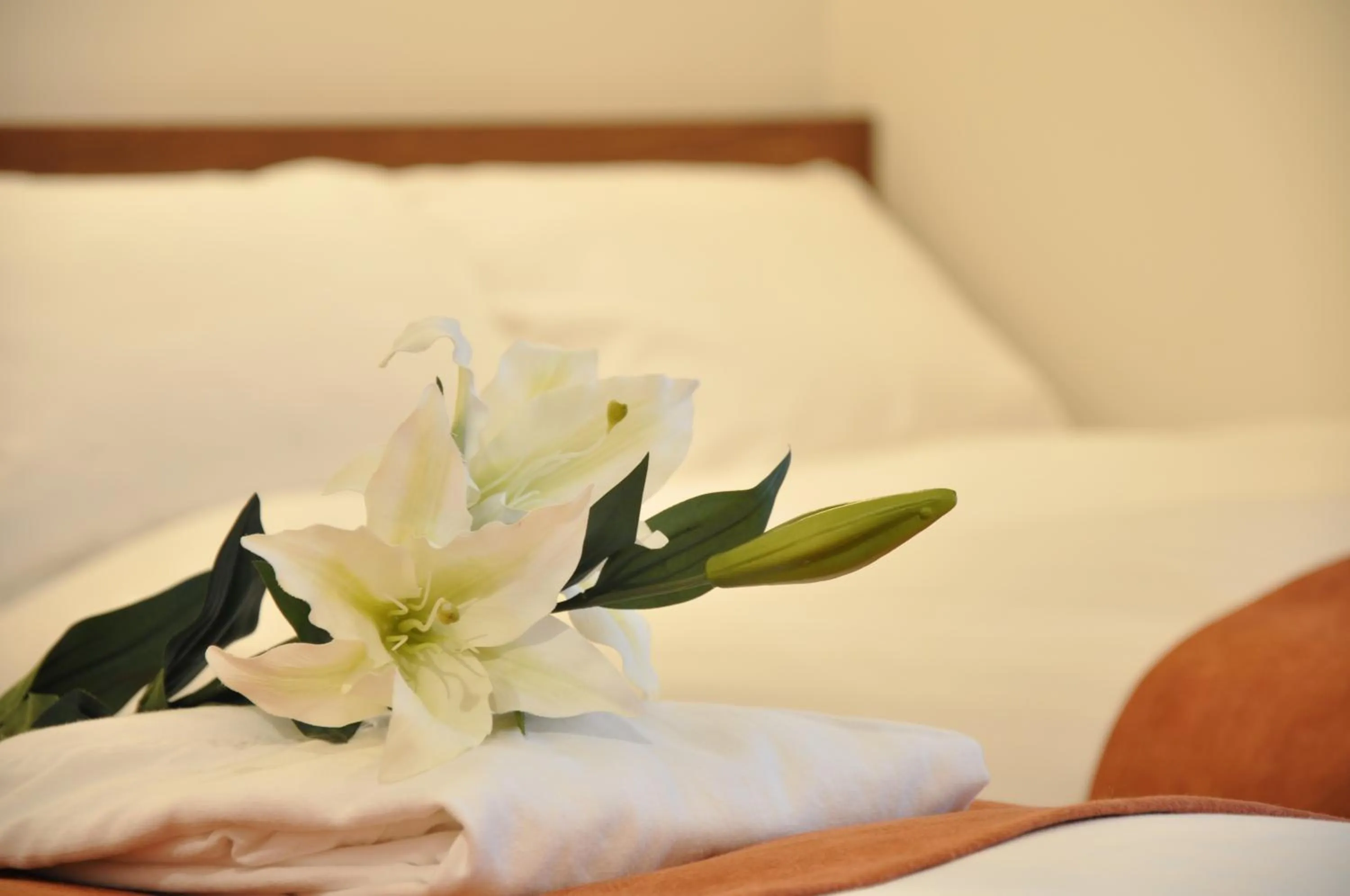 Bedroom, Bed in Hotel Noah