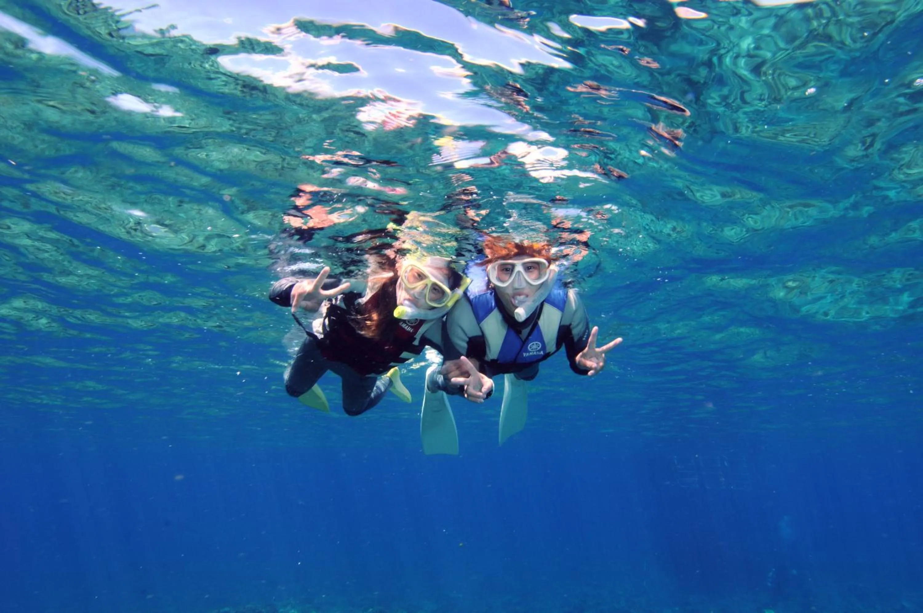 Snorkeling in Hotel Noah