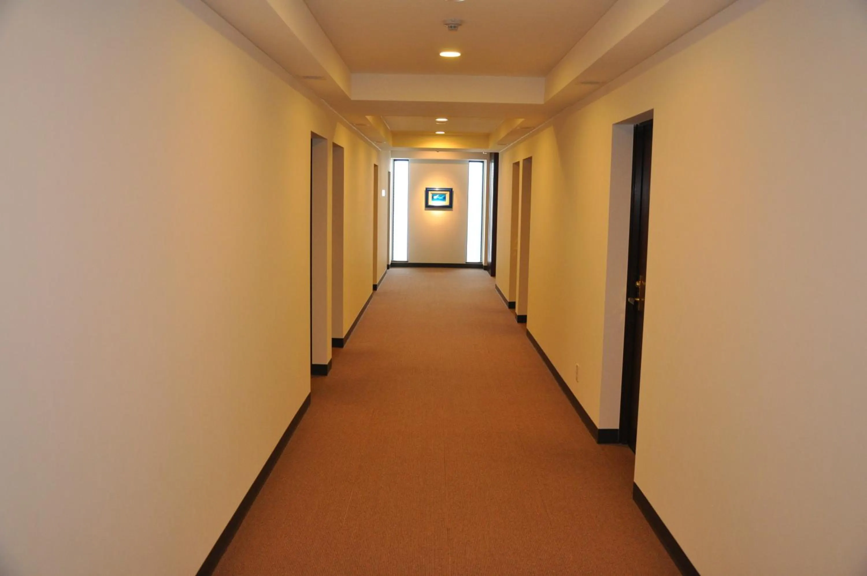 Photo of the whole room in Hotel Noah