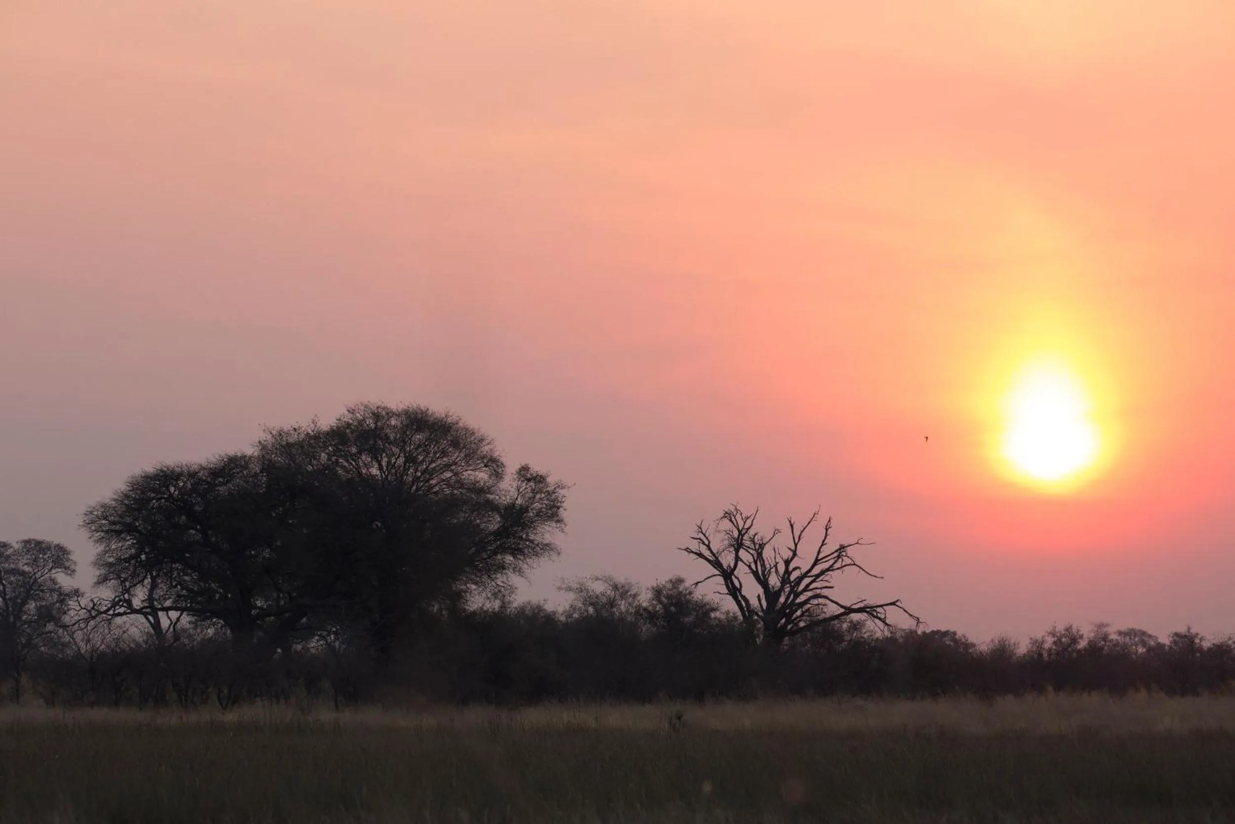 Neighbourhood in The Namushasha River Villa