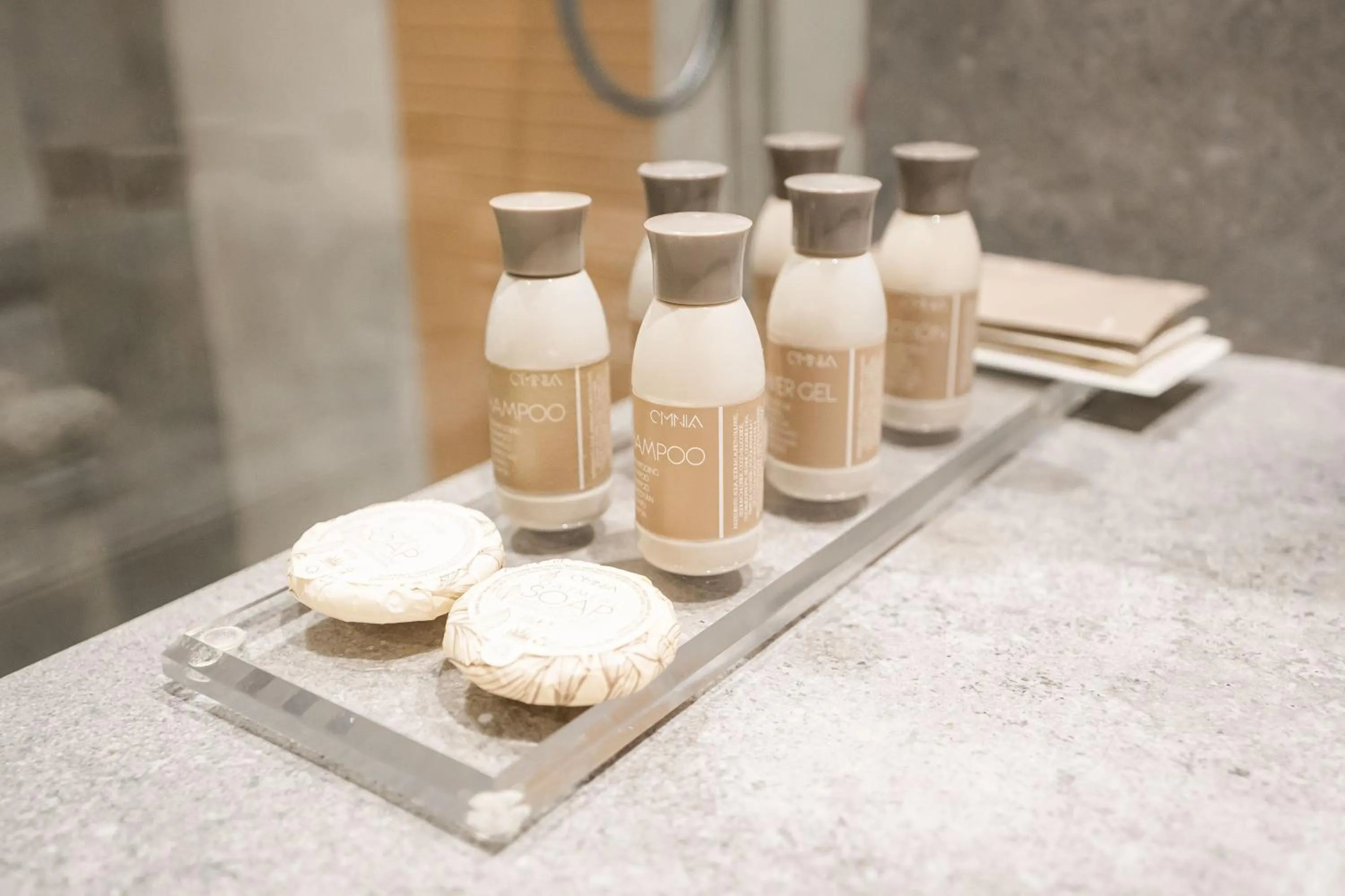 Bathroom in Mandachi Hotel & SPA