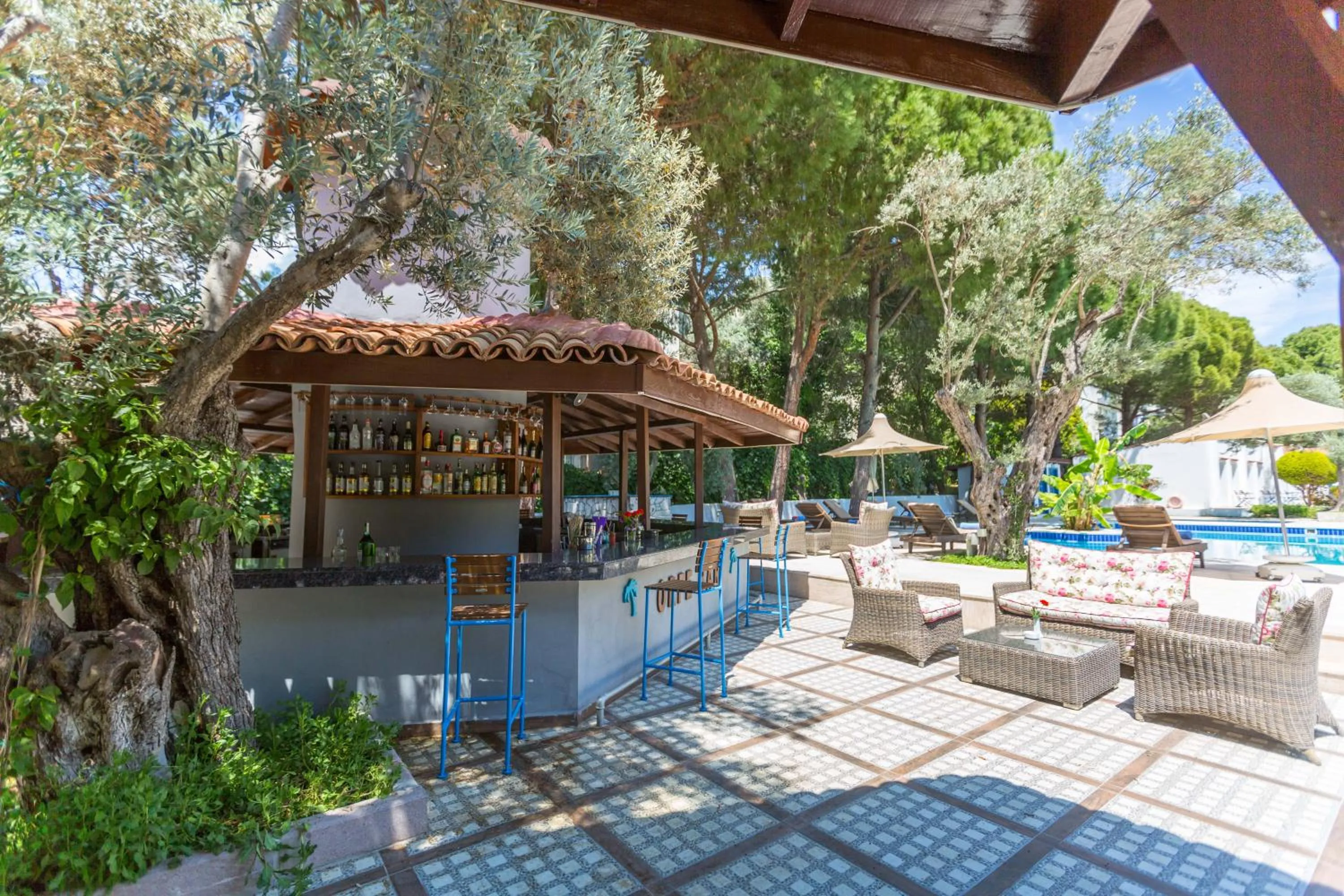 Food and drinks in Risus Garden Marina Hotel