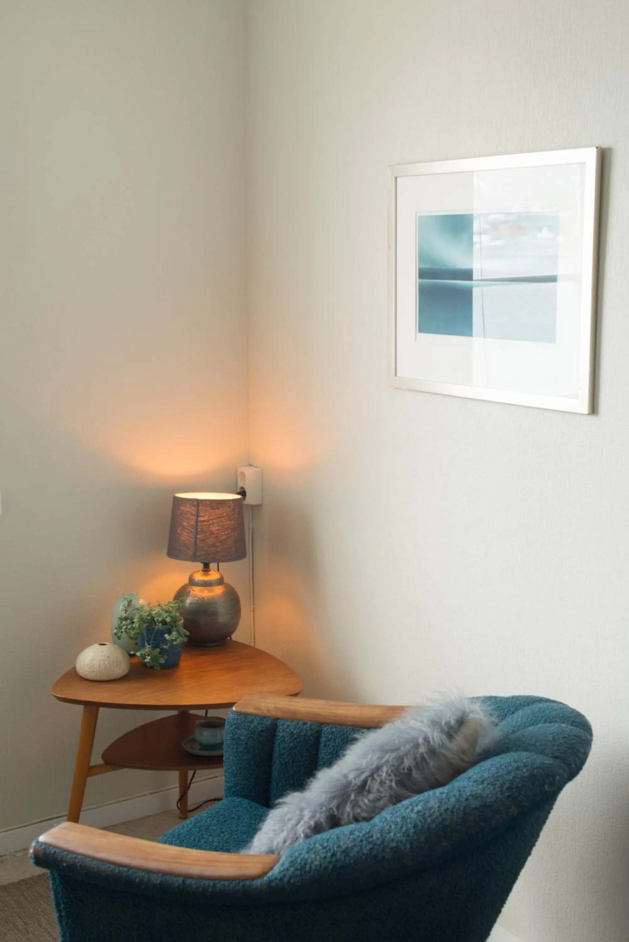 Catogården - Boutique Home & Activity Centre